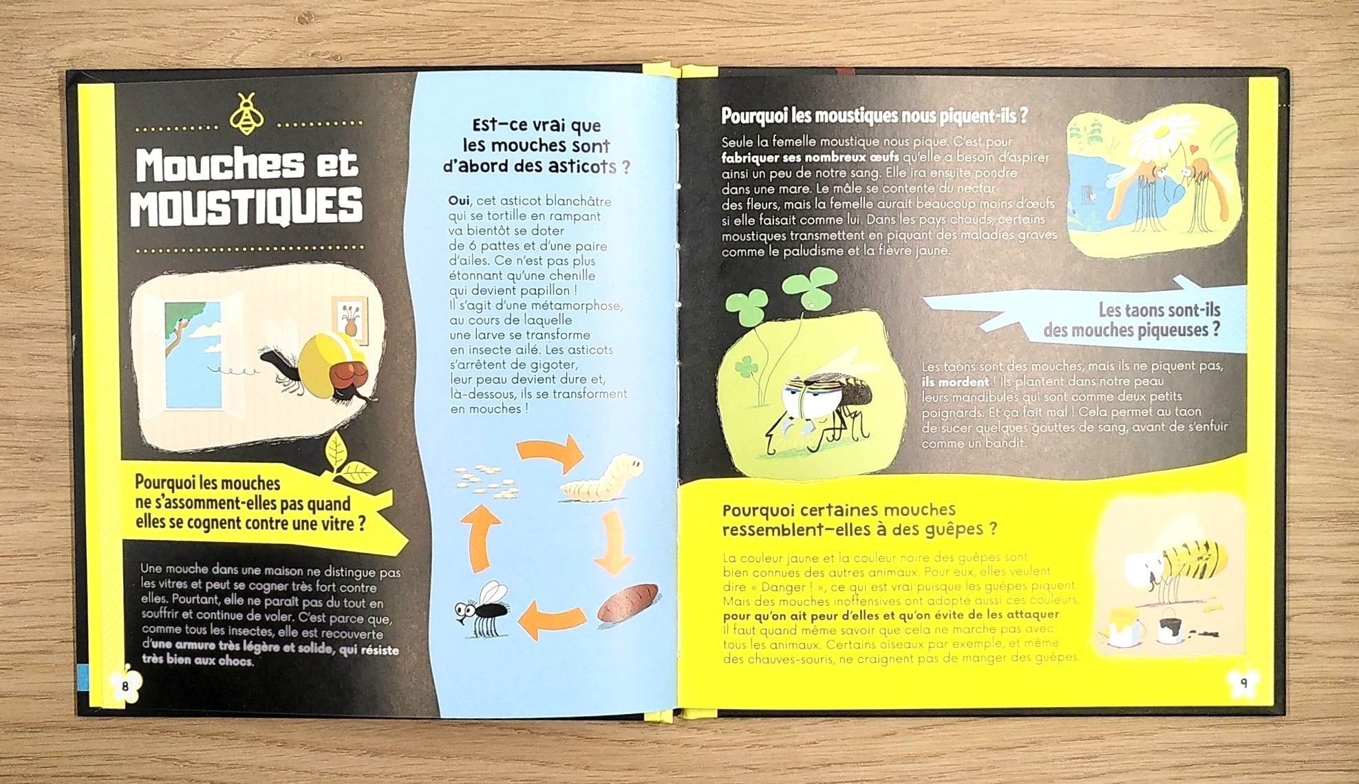 Insectes et petites bêtes - Dès 6 ans Livres La family shop