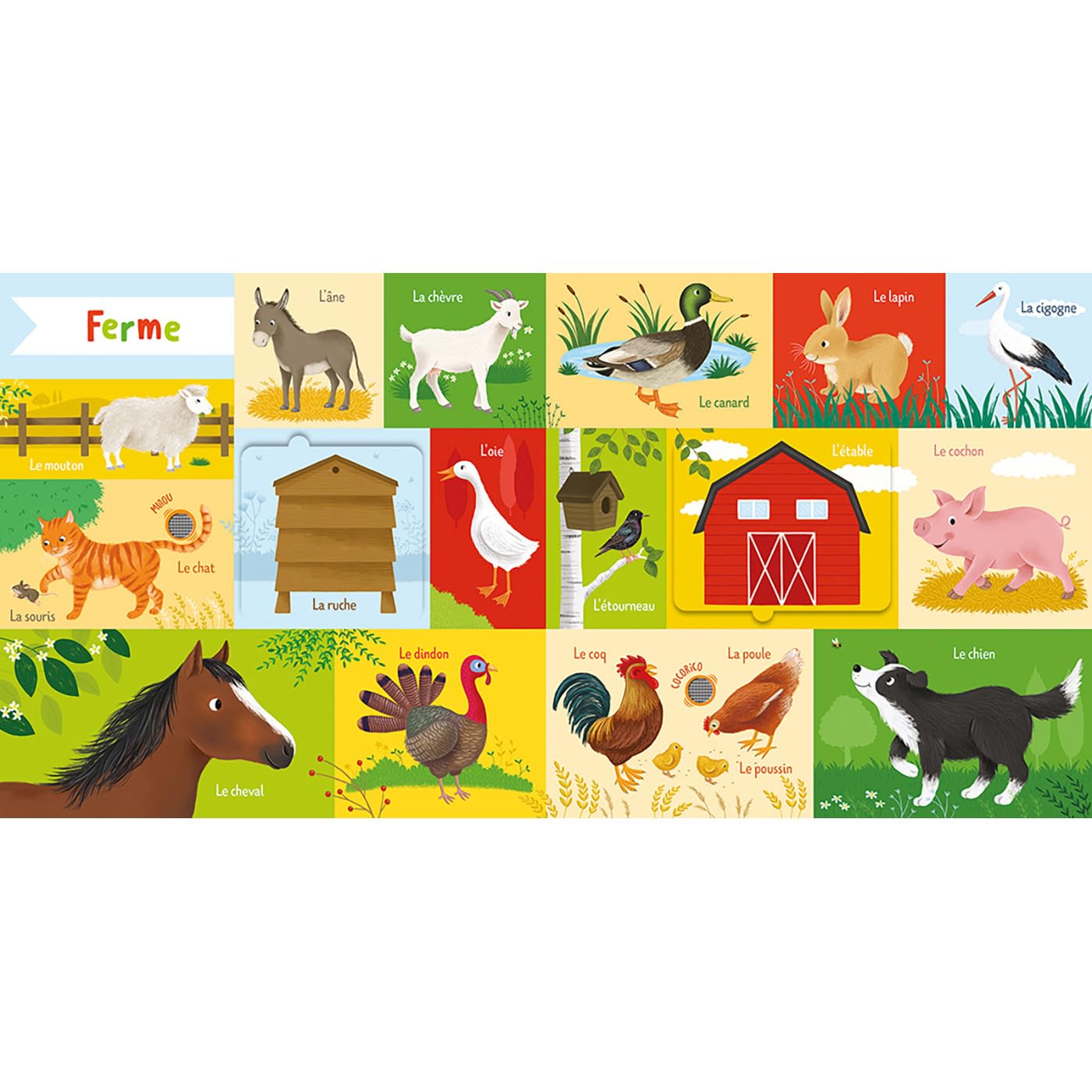 101 mots : animaux Livres OLF