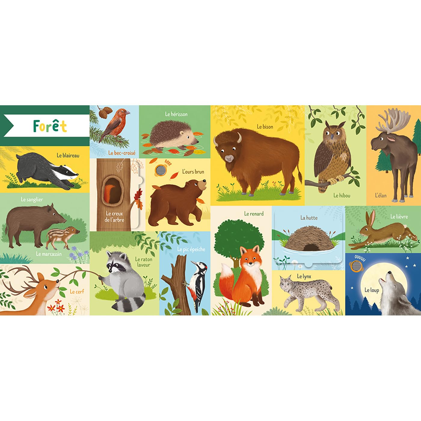 101 mots : animaux Livres OLF