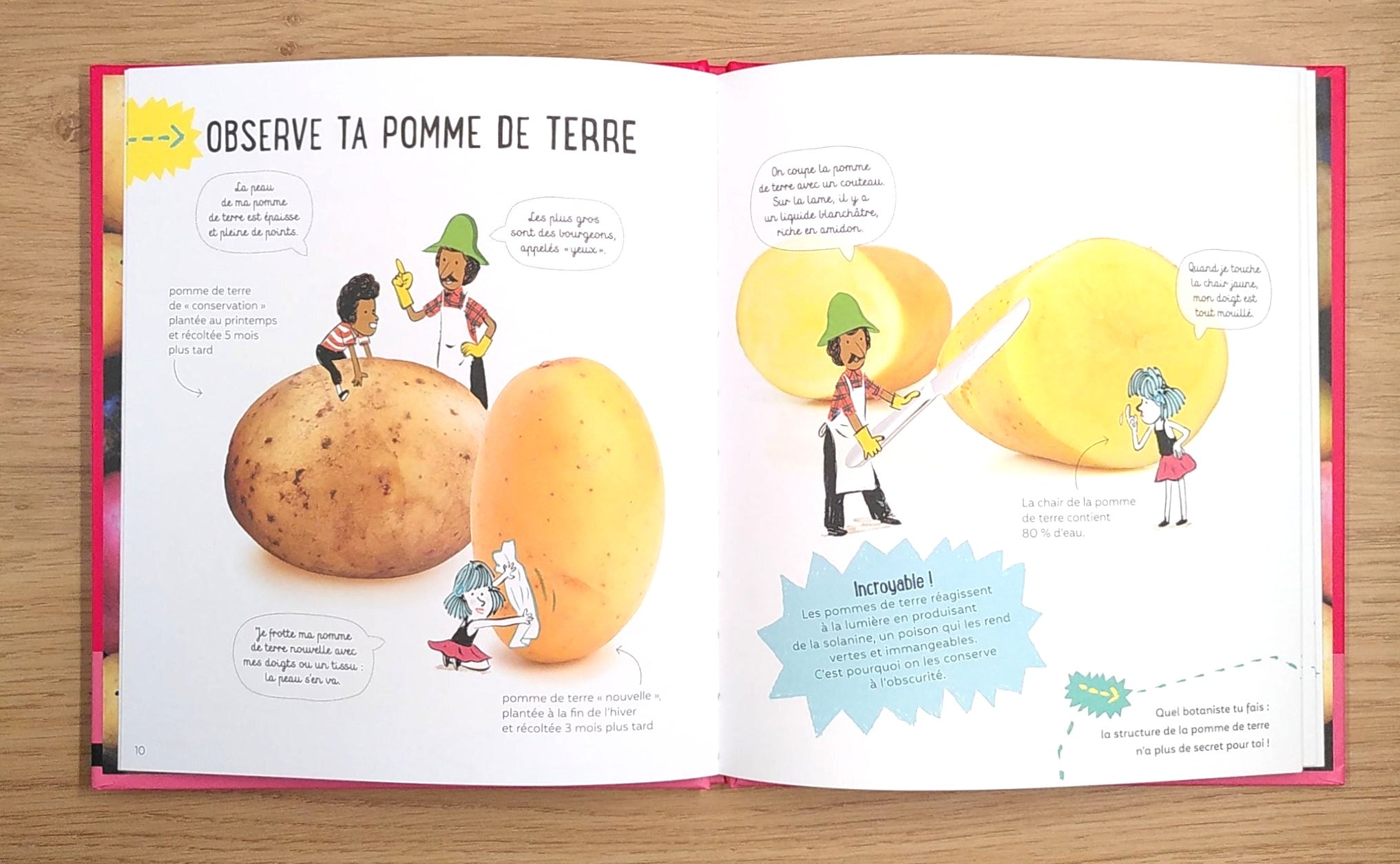 La science est dans la pomme de terre - Expérience scientifique enfant dès 4 ans Livres La family shop
