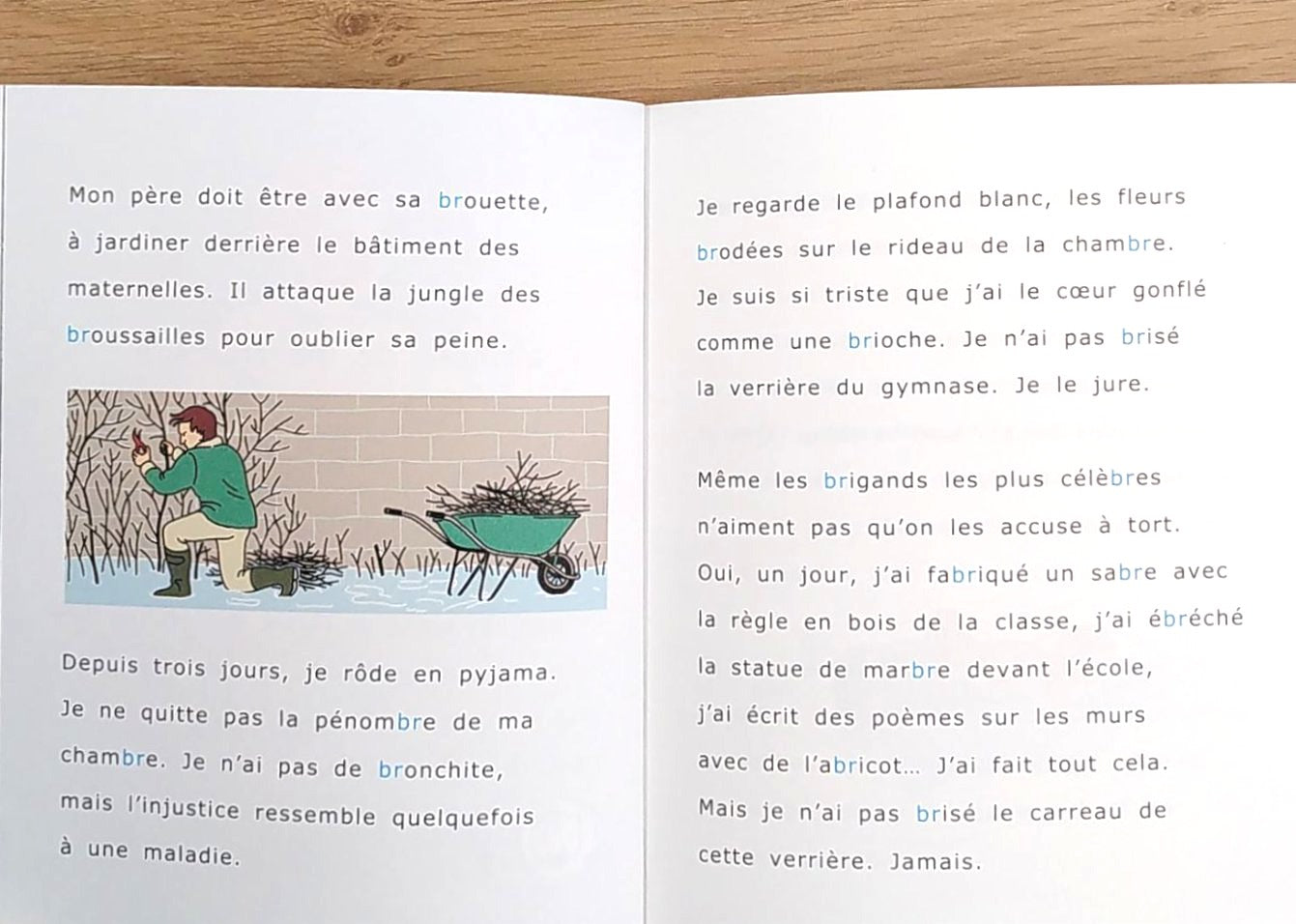 Brune. Dyslexie N4 - 5-6P Livres La family shop