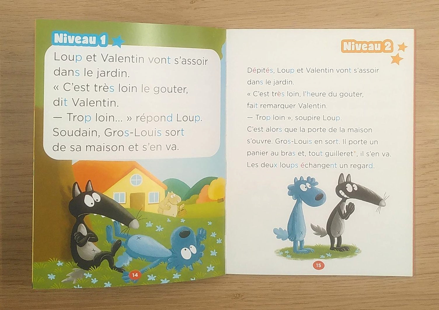 Loup en 3ème harmos :  Le fabuloup gâteau de Gros-Louis Livres La family shop