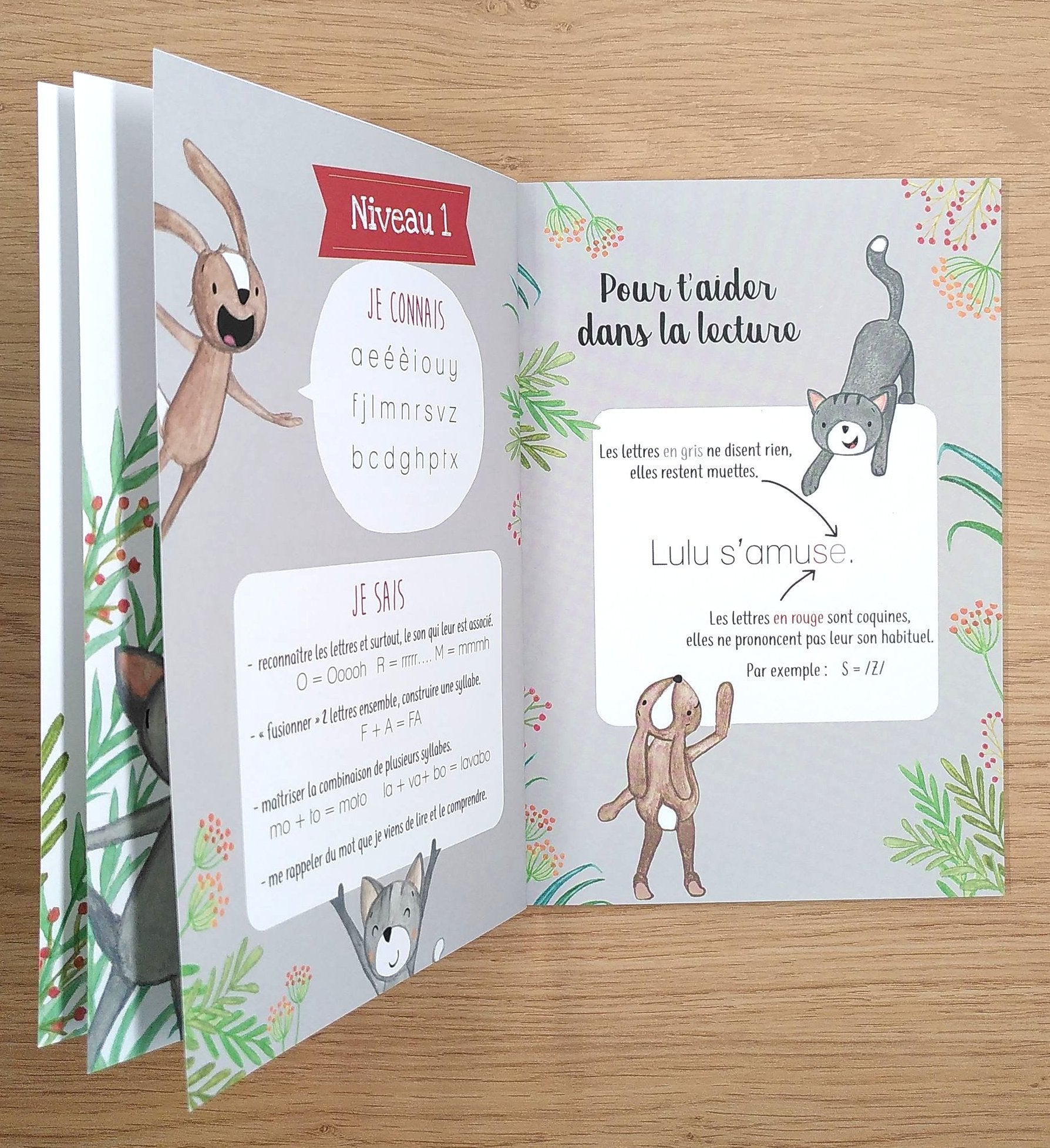 Petit Détective : Lulu va à la mer - N1: 2p et 3P Livres OLF