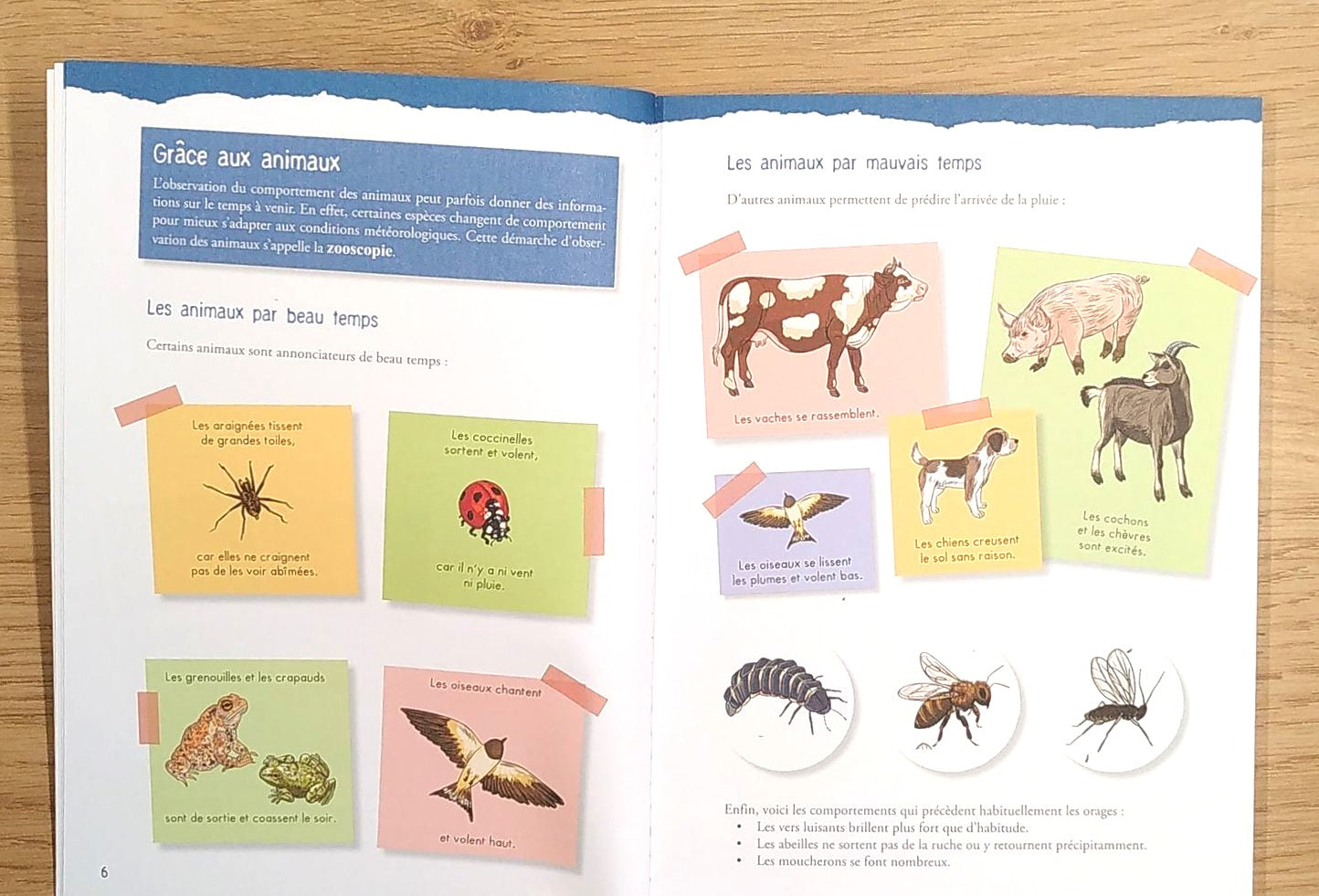 Guide des aventuriers - dès 8 ans Livres La Family Shop