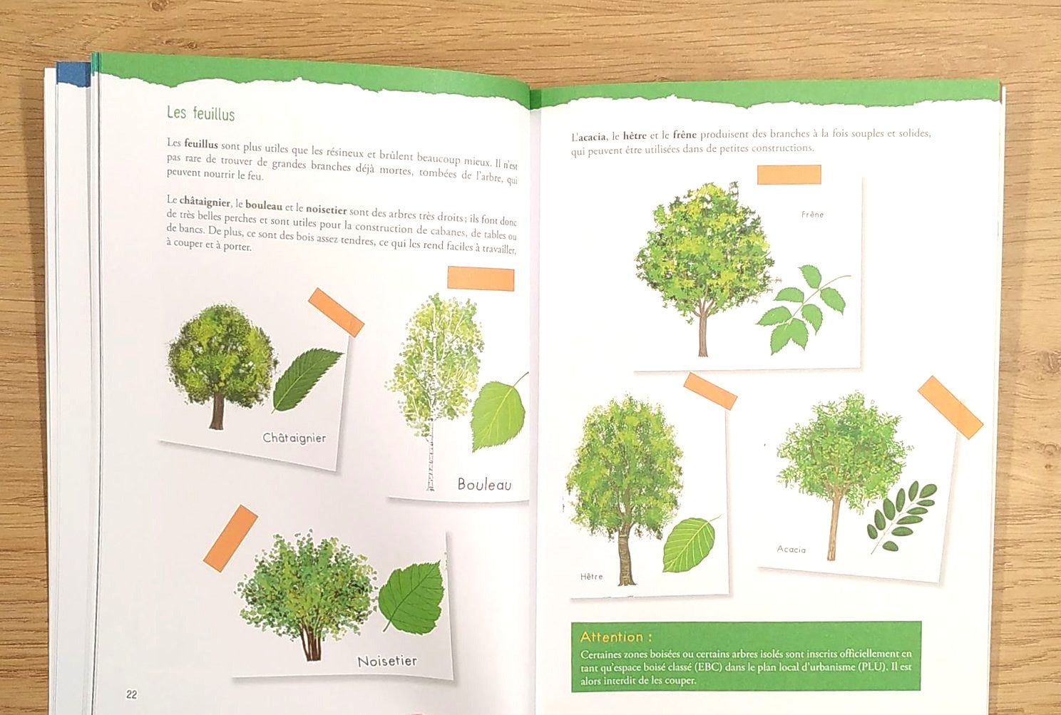 Guide des aventuriers - dès 8 ans Livres La Family Shop