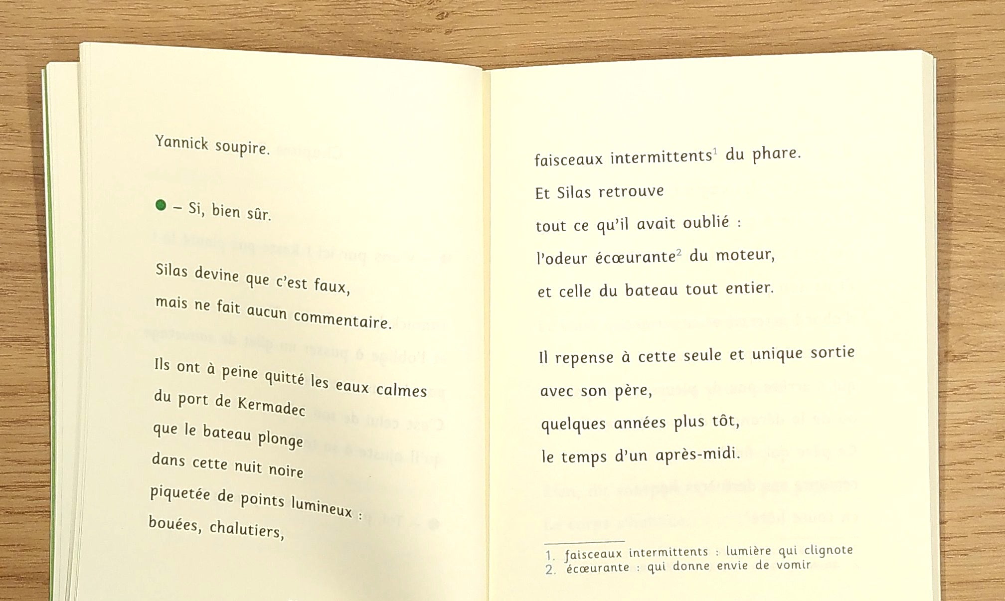 Perdus en mer - Livre avec lecture facilitée Dyslexie et concentration La family shop