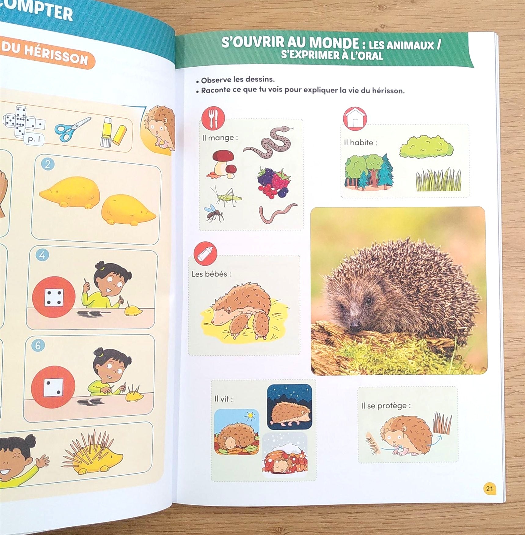 1ère harmos - Mon année de 1P - Klorophile - Maths- Français et jeux. Appuis scolaires OLF