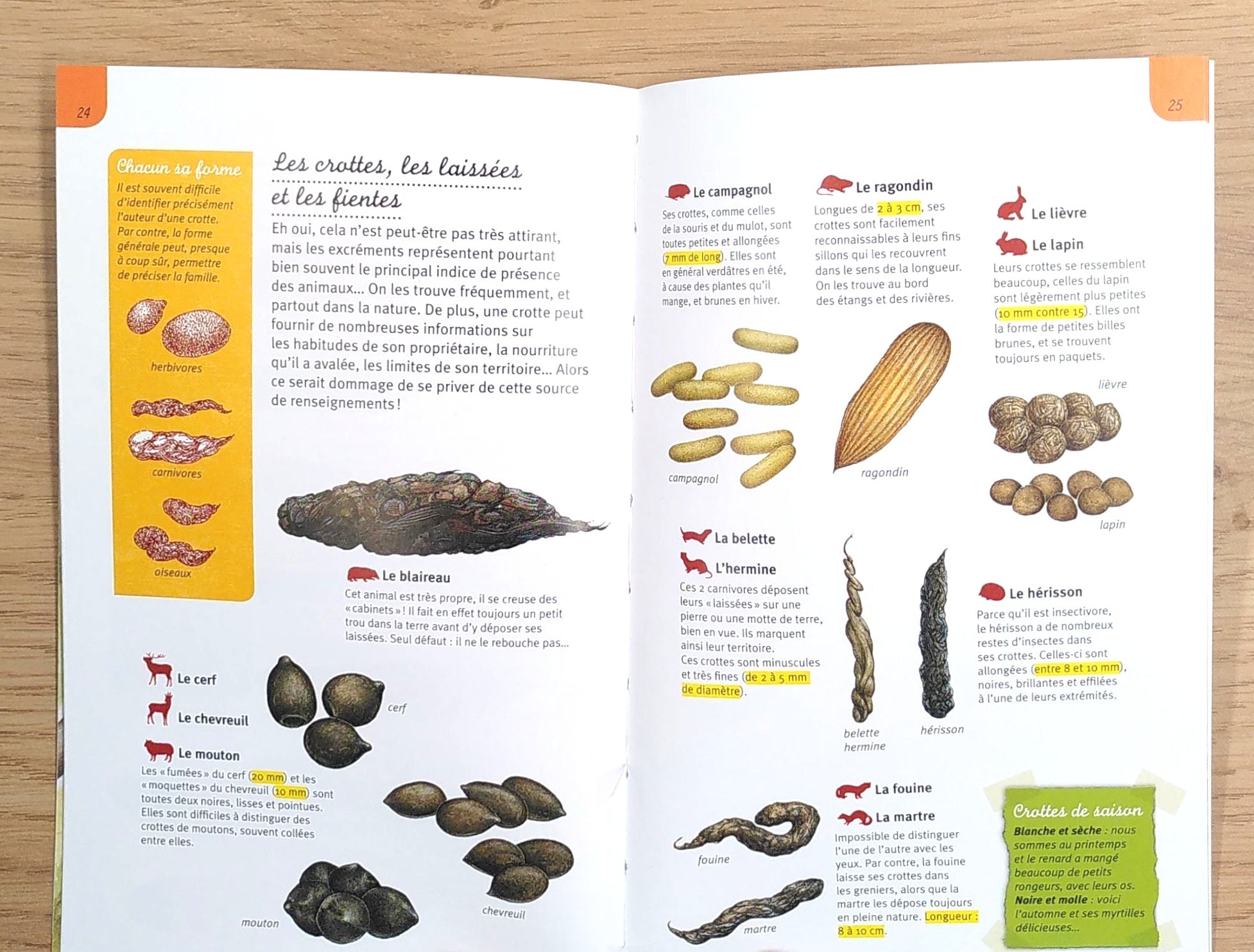 Traces et empreintes des animaux - Dès 8 ans Livres OLF