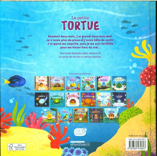 La petite tortue Livres OLF