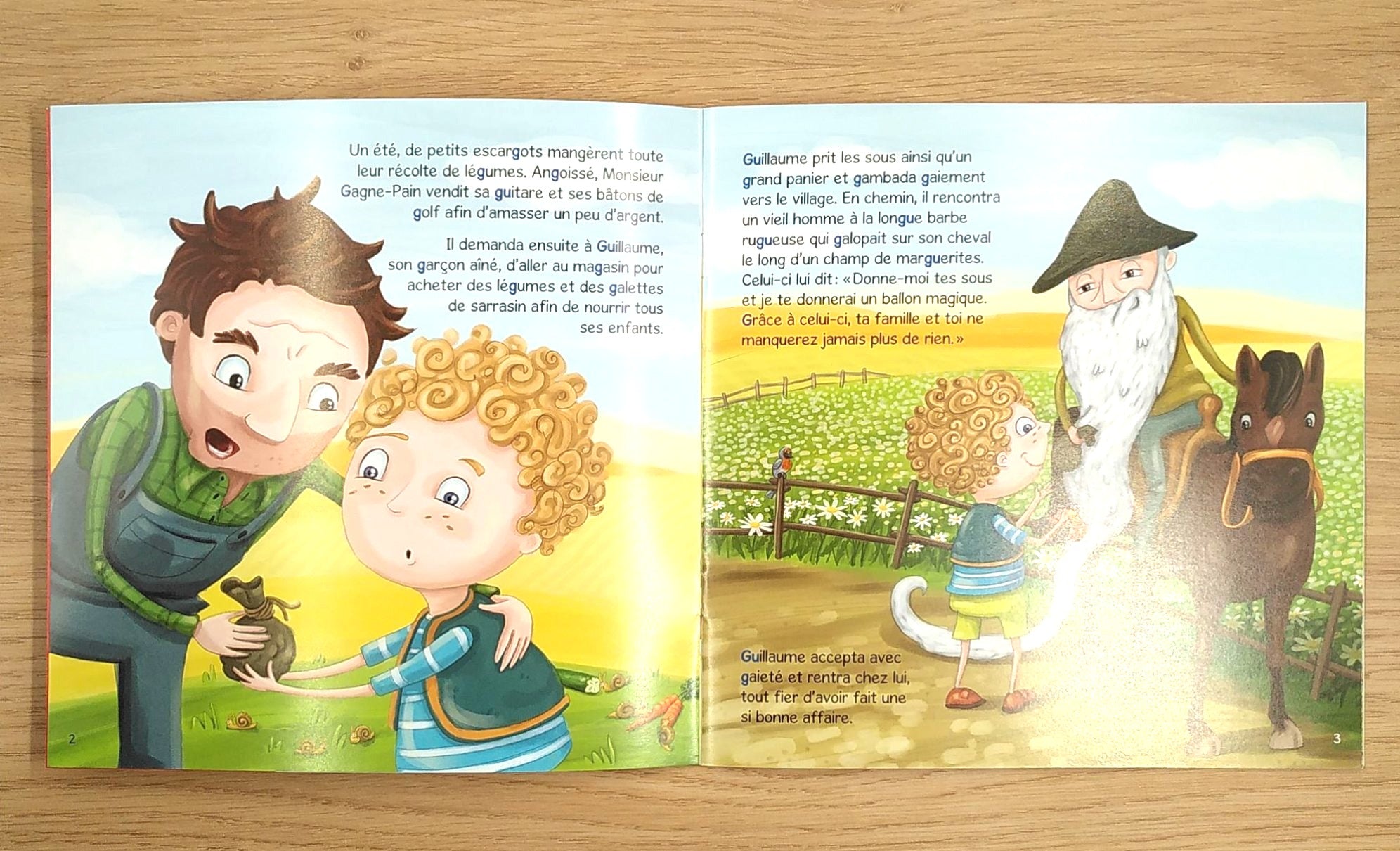 Guillaume et la montgolfière magique Livres Servidis