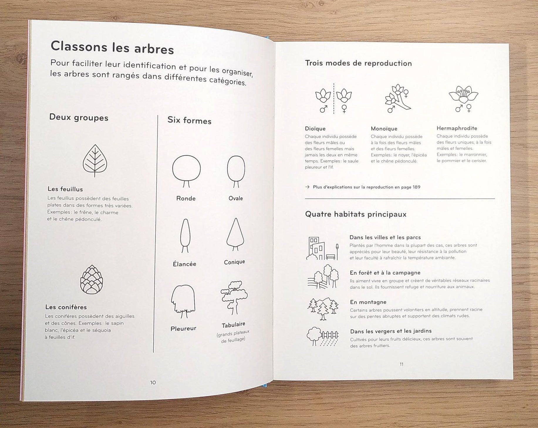 Arborama - Découvre et observe le monde merveilleux des arbres Livres OLF