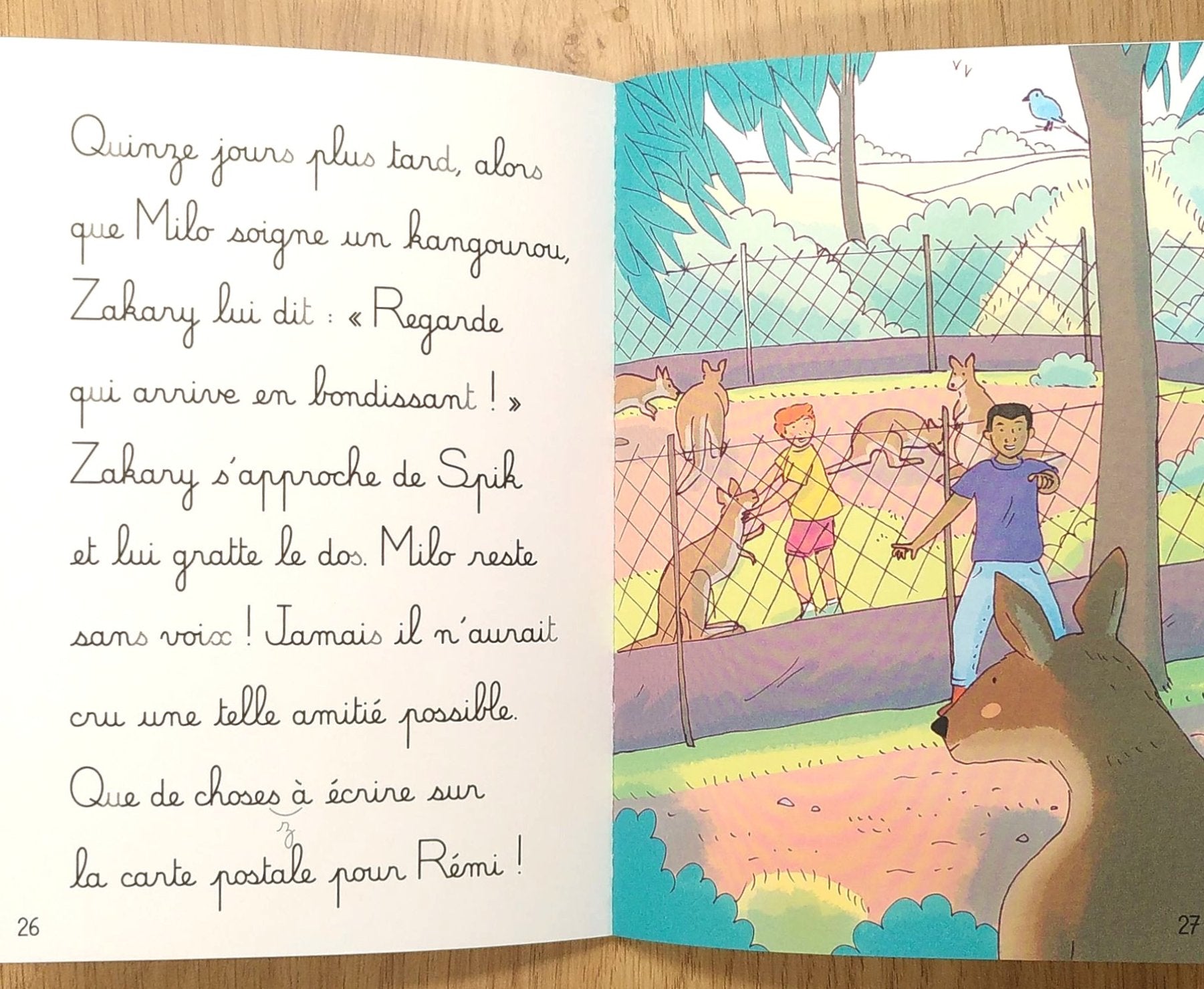 Au pays des kangourous - Mes premières lectures Montessori - Lettres en lié (cursive) - N4 Montessori & Steiner La family shop