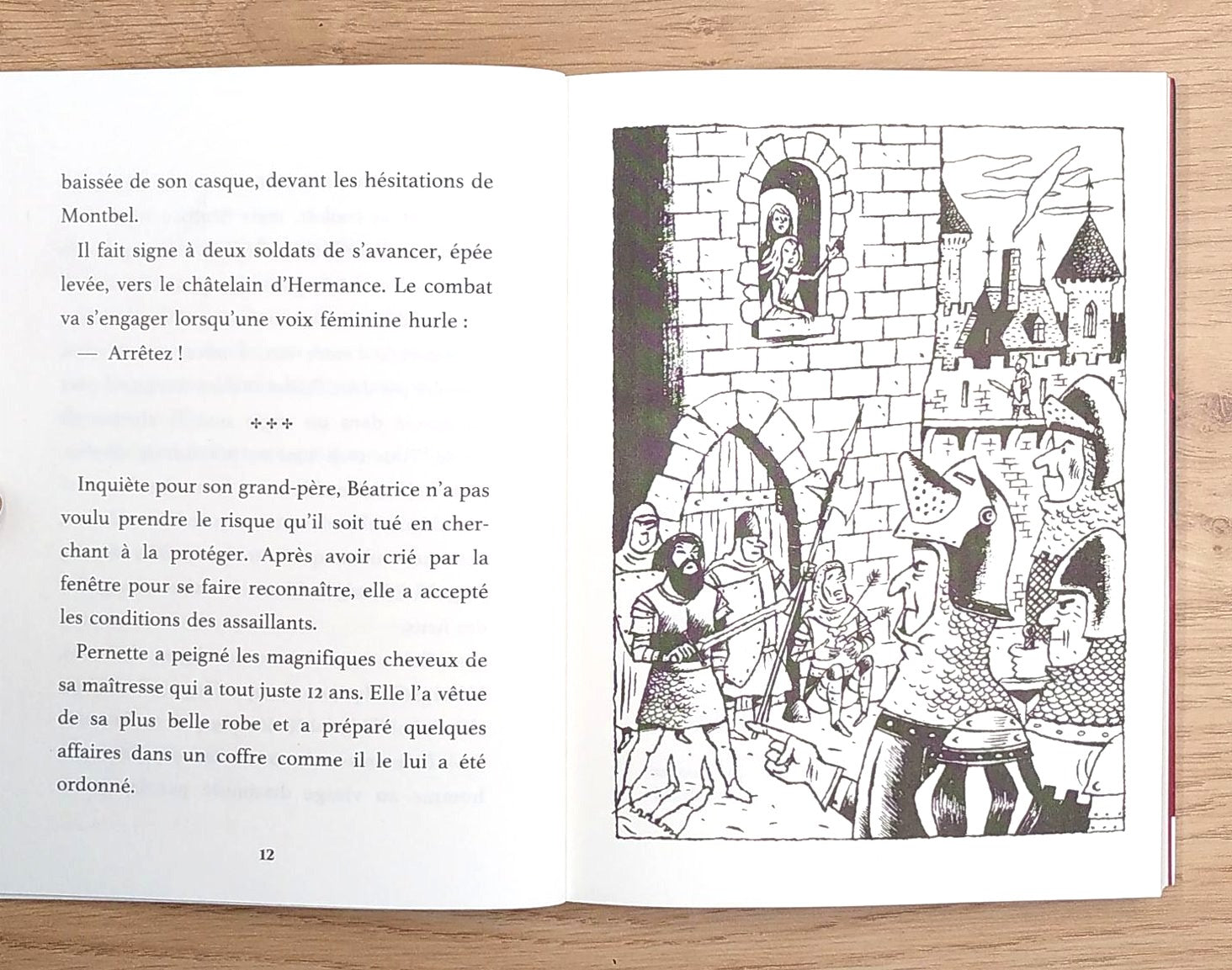 Les pirates du Léman - La prisonnière de Chillon Livres OLF