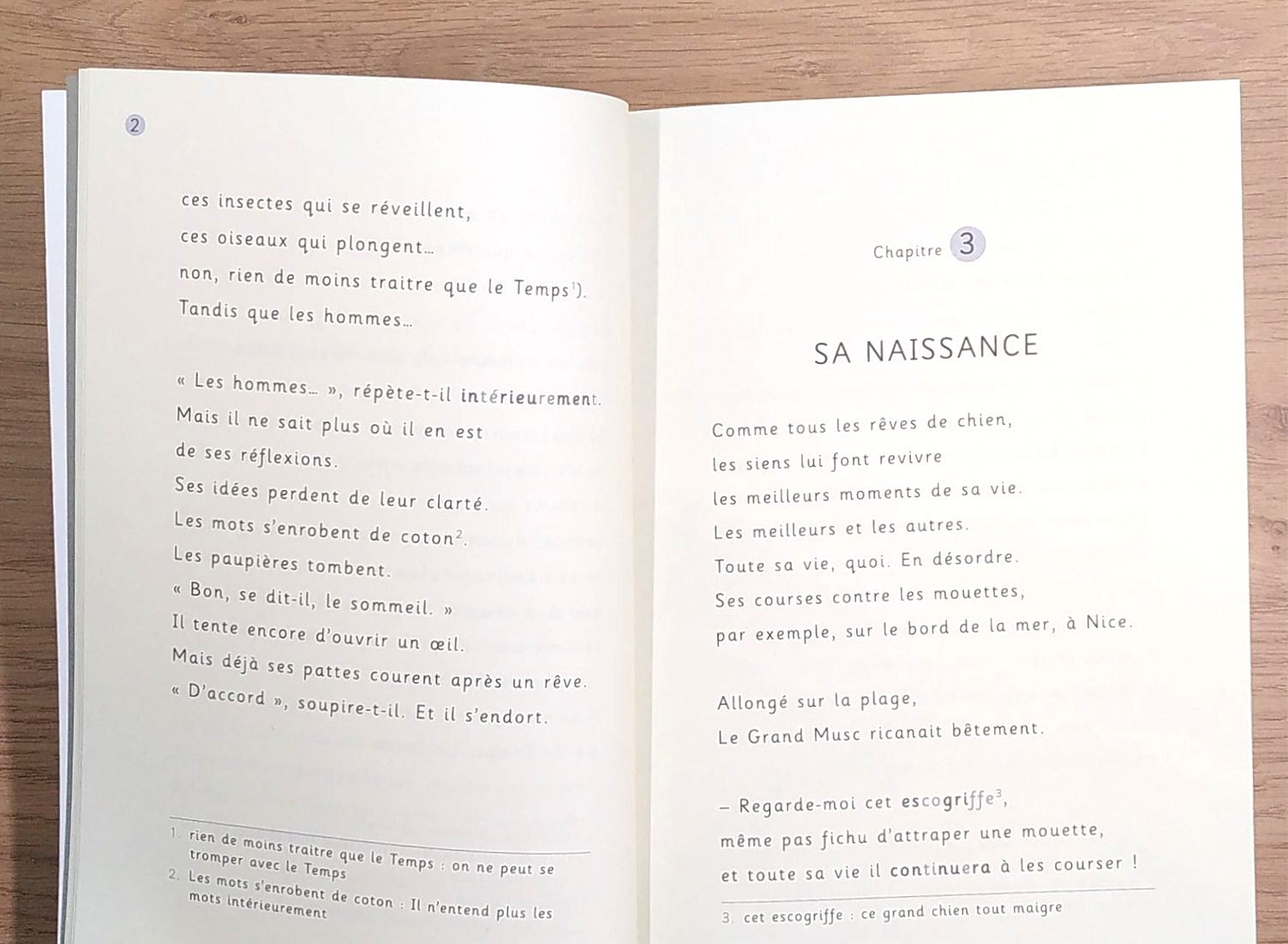 Cabot Caboche - Livre enfant adapté aux enfants Dys - 8 ans Dyslexie et concentration La family shop