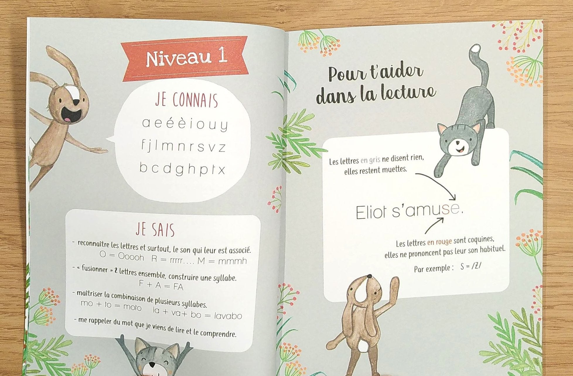 Petit Détective : Eliot va à l'école - N1: 2p et 3P Livres OLF