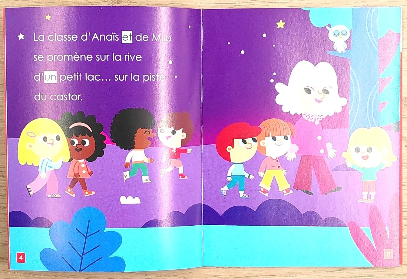 Moi je lis tout seul en début 3ème HarmoS: Sur la piste du castor Livres La family shop