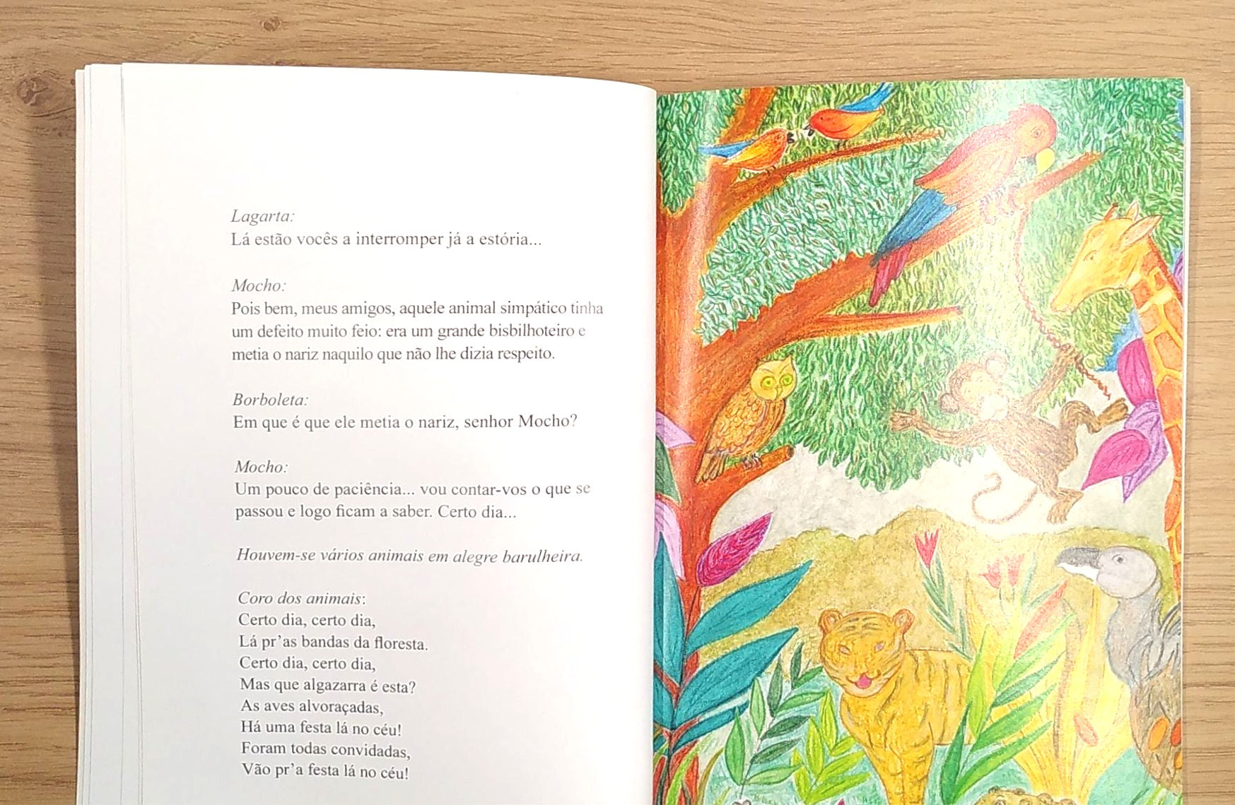 Há festa no céu - Conte brésilien en portugais Livres La family shop