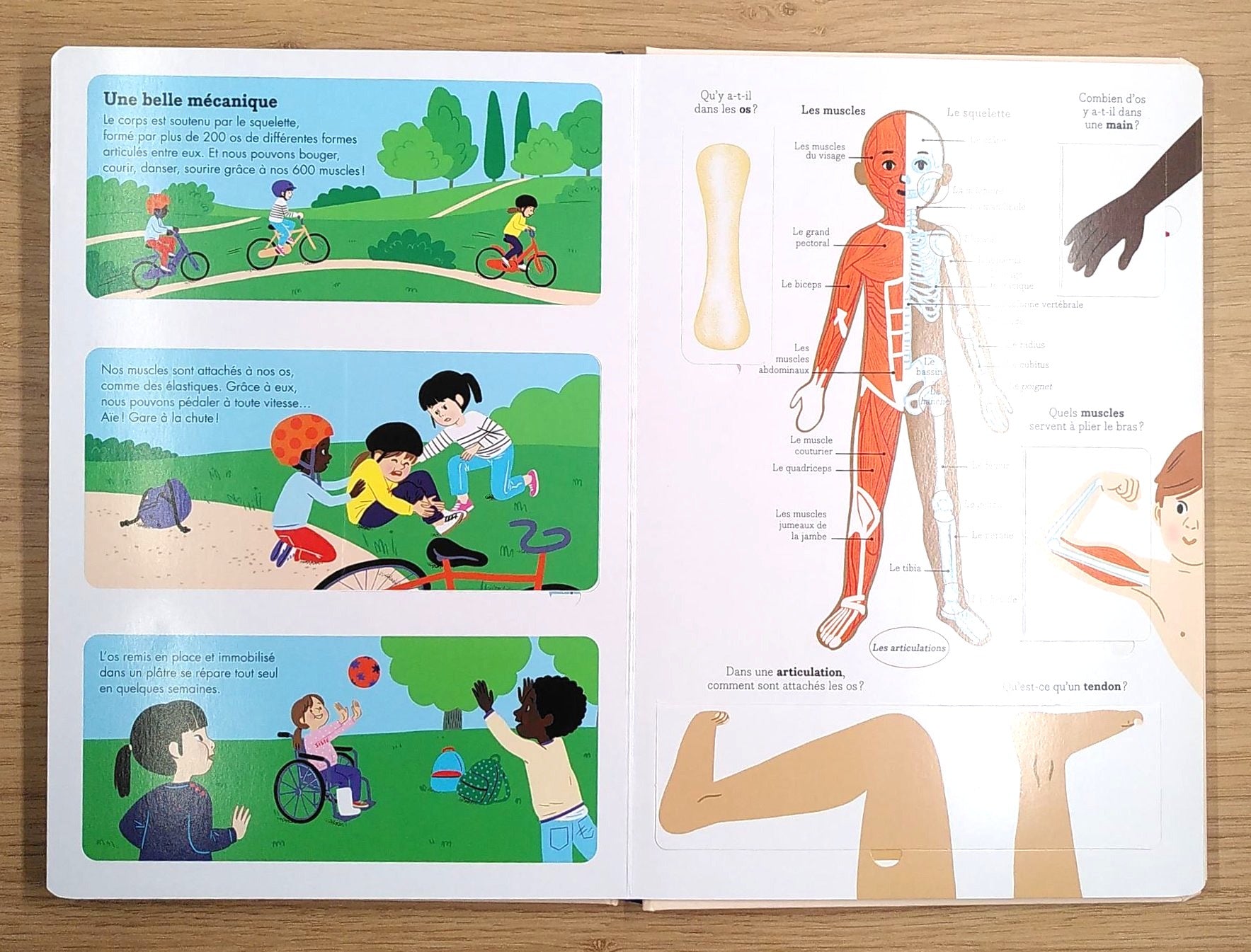 Corps humain - Pourquoi notre cœur bat-il ? Livres La family shop