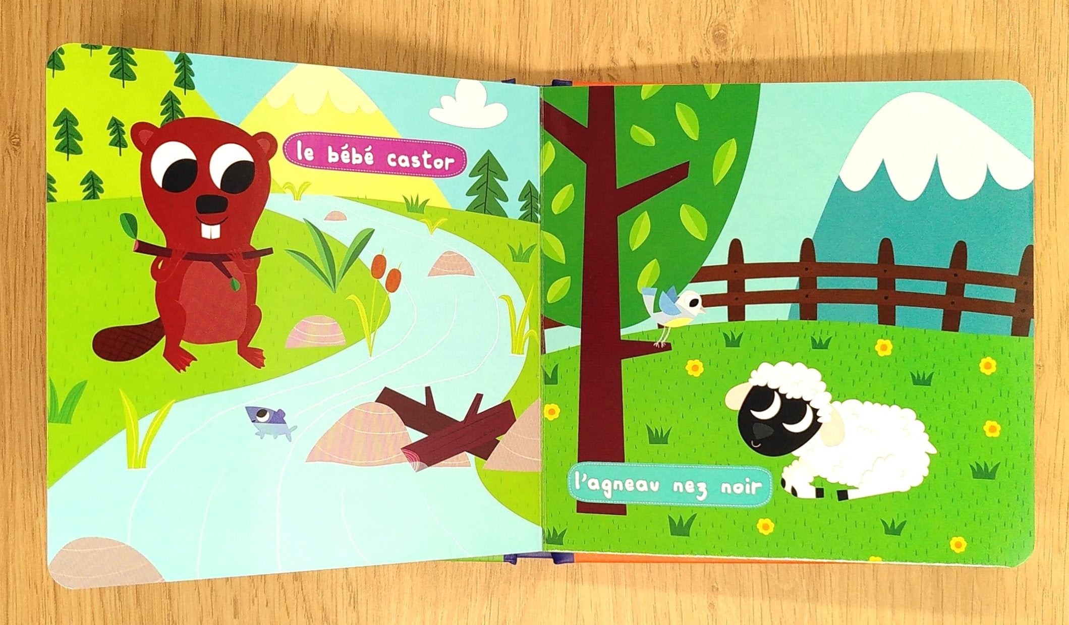 Mon premier imagier : les bébés animaux suisses Livres La family shop
