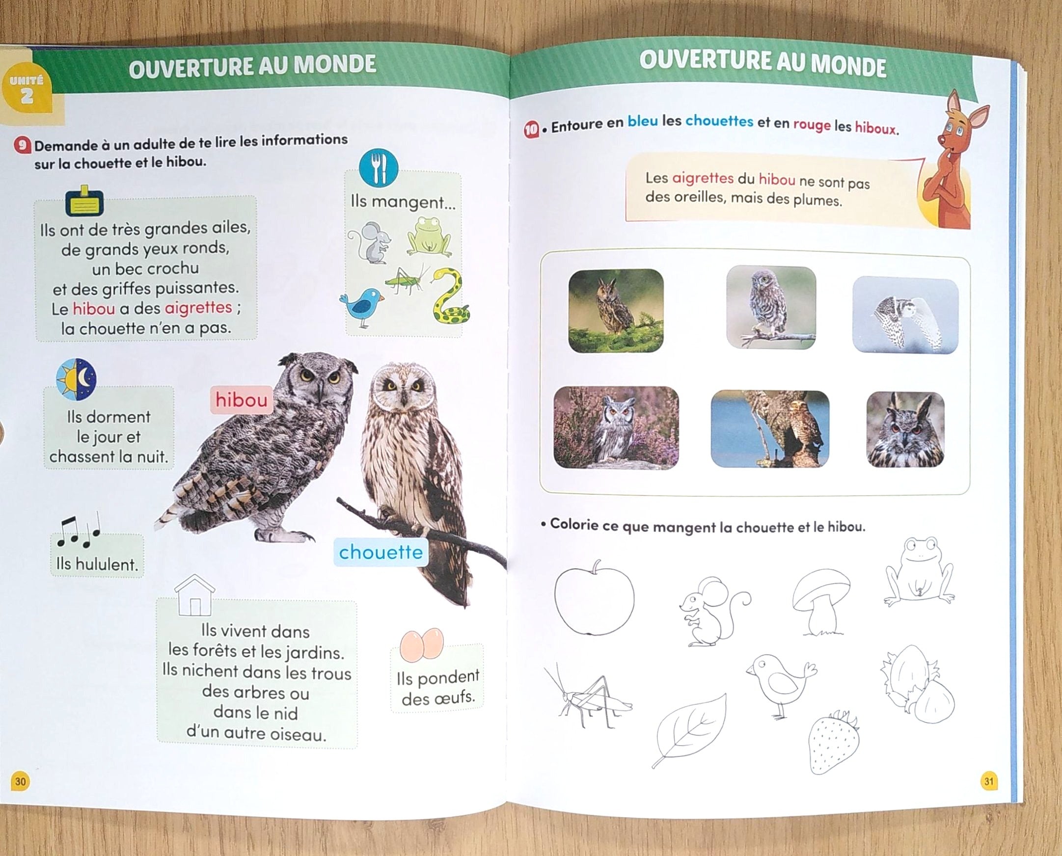 2ème harmos - Mon année de 2P - Klorophile - Maths- Français et jeux - 2ème harmos Appuis scolaires OLF