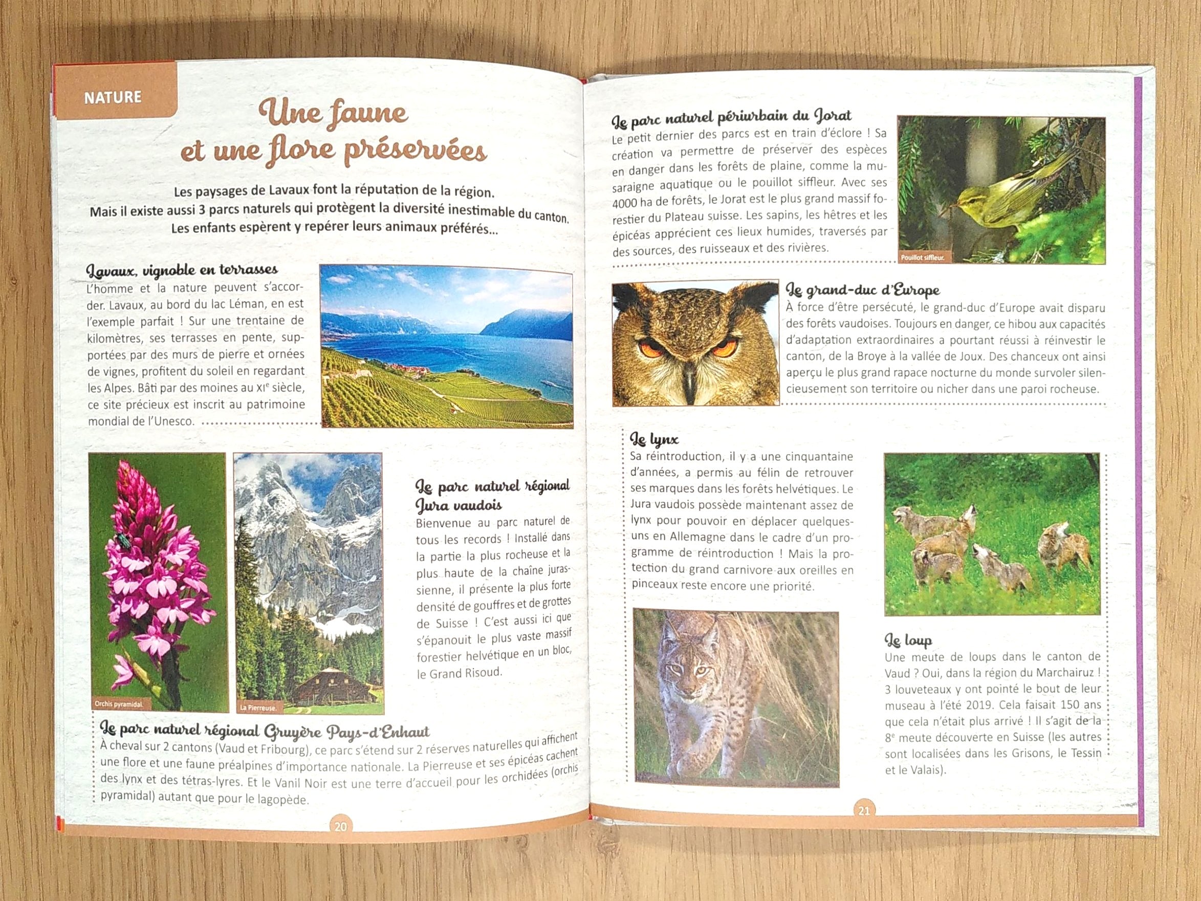 Mon petit atlas du canton de Vaud - Dès 6 ans Livres Auzou - OLF