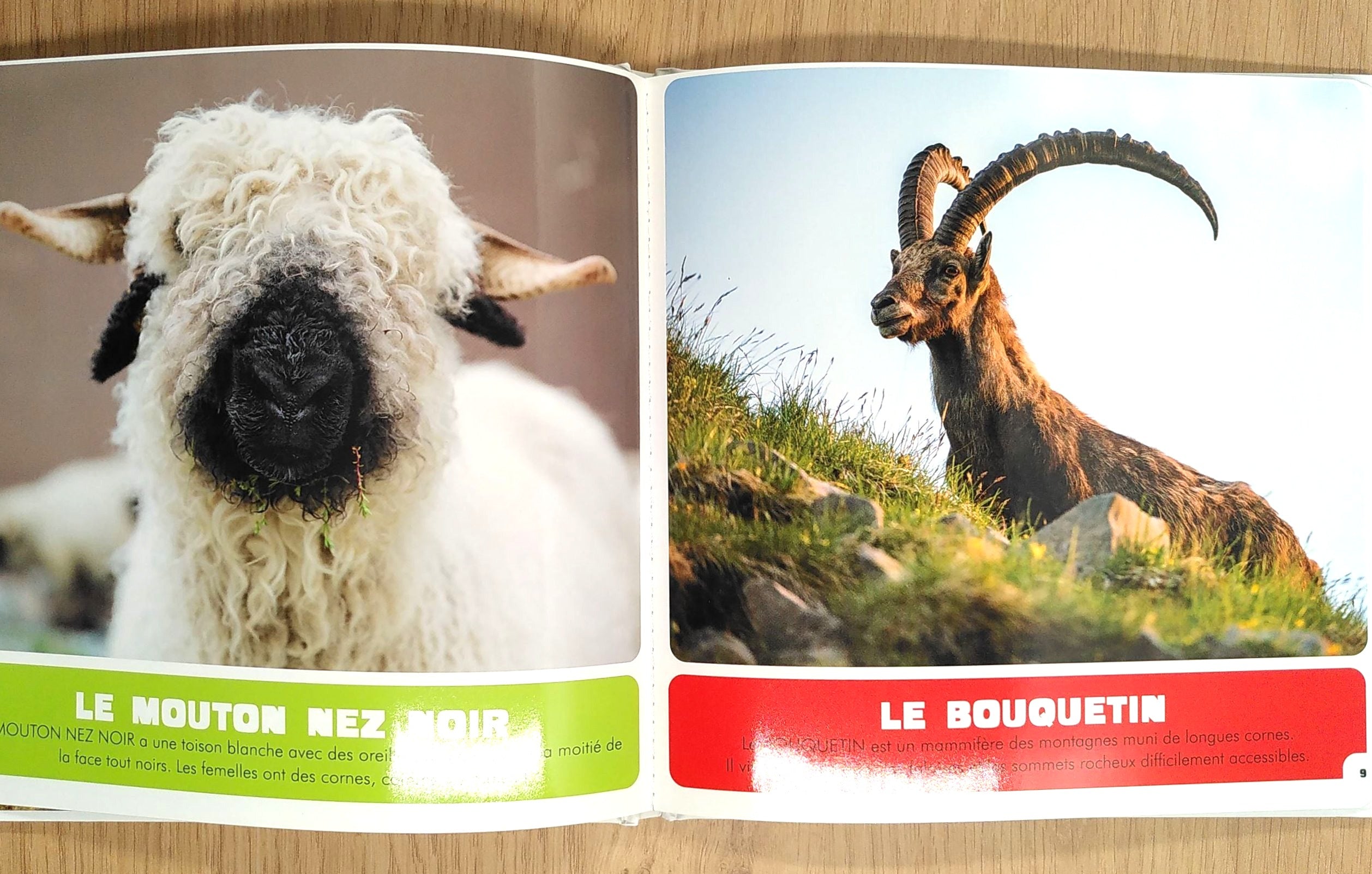 Animaux de Suisse - Animalier dès 18 mois Livres OLF