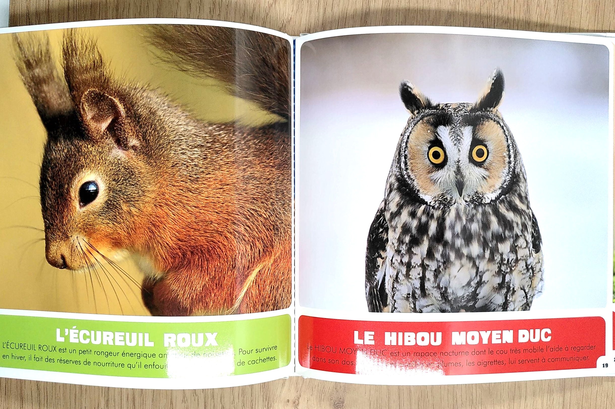 Animaux de Suisse - Animalier dès 18 mois Livres OLF