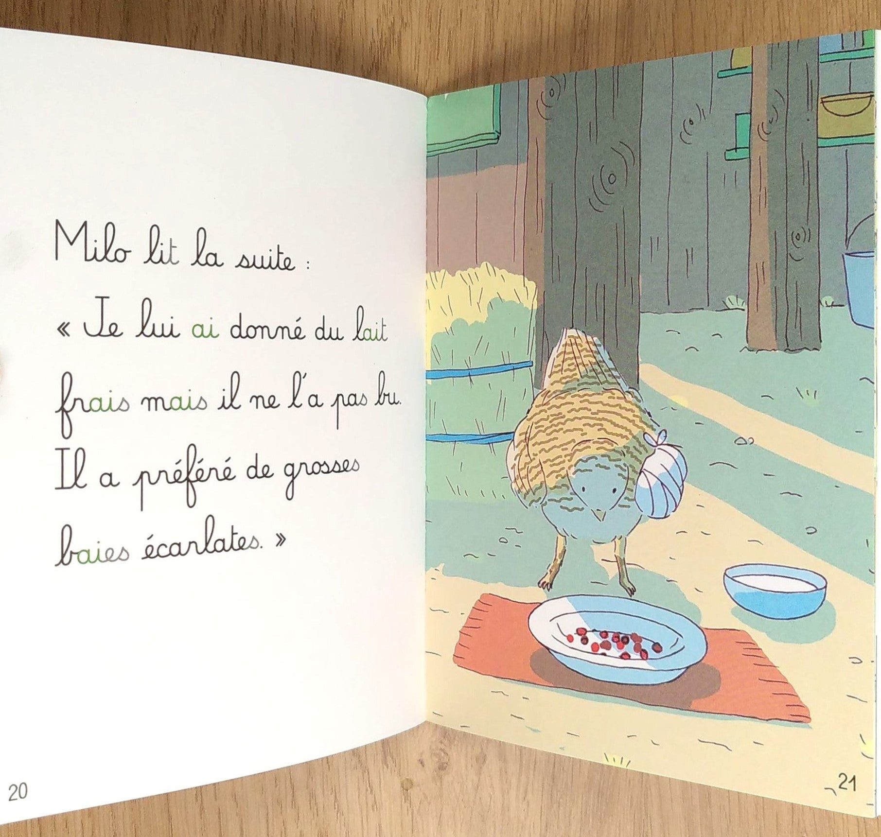 Je serai Vétérinaire - Mes premières lectures Montessori - Lettres en lié (cursive) - N3 Montessori & Steiner La family shop