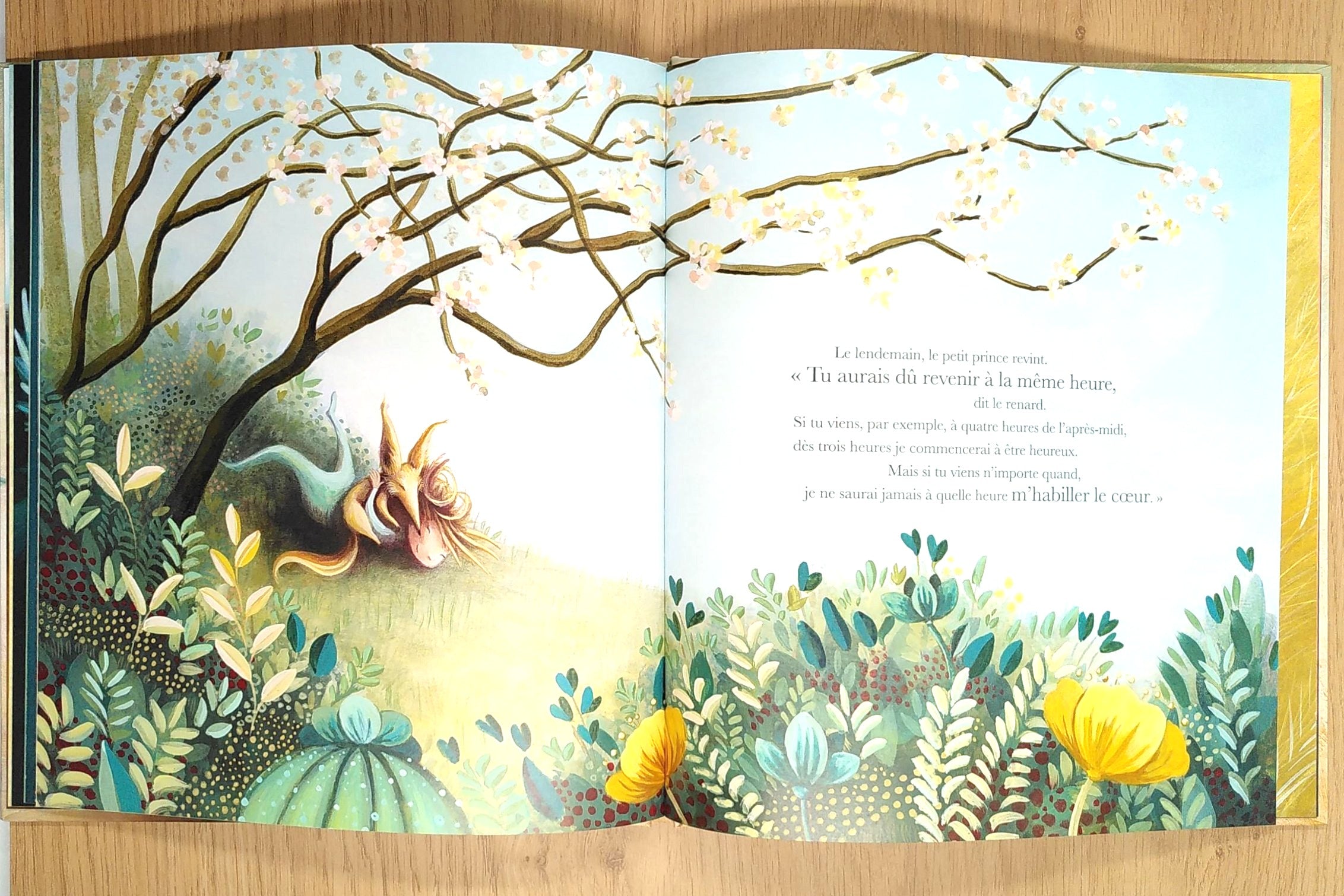 Le Petit Prince Livres Servidis
