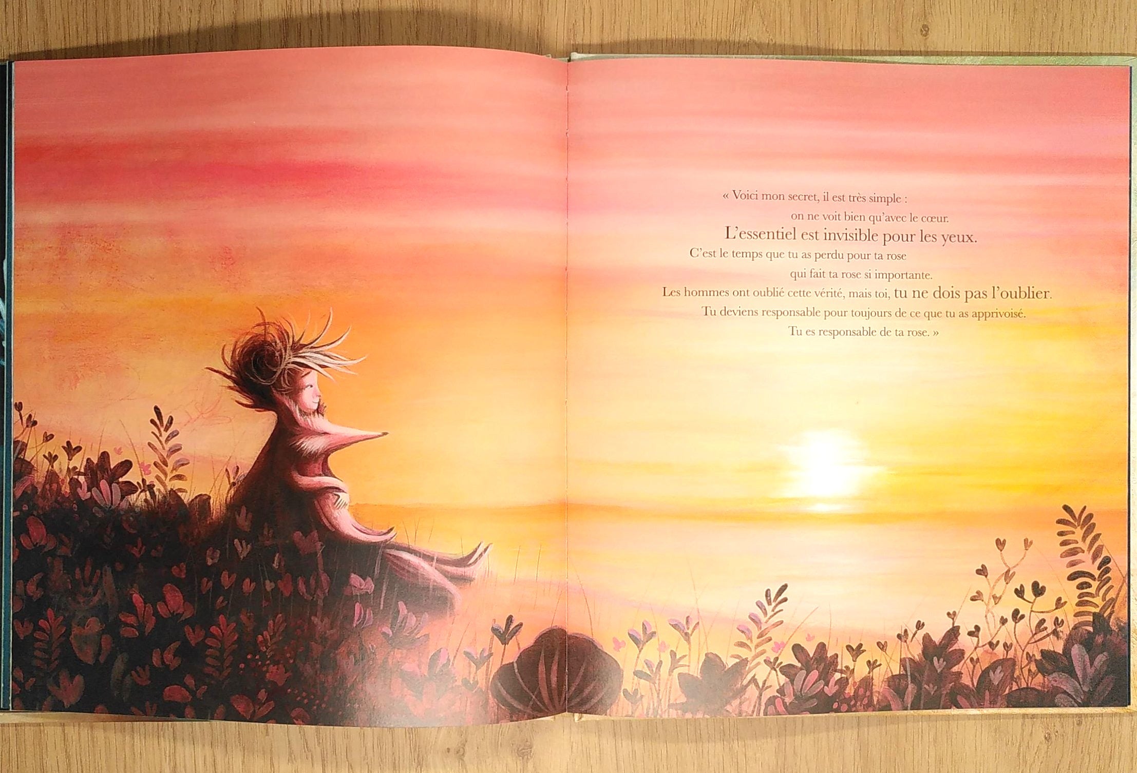 Le Petit Prince Livres Servidis