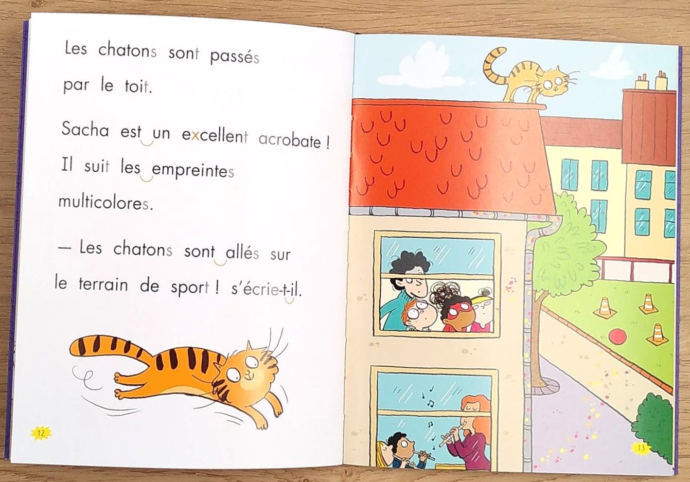 Les héros de la 3P - Sauvons les chatons - Niveau 4 : Fin 3ème HarmoS Livres La Family Shop