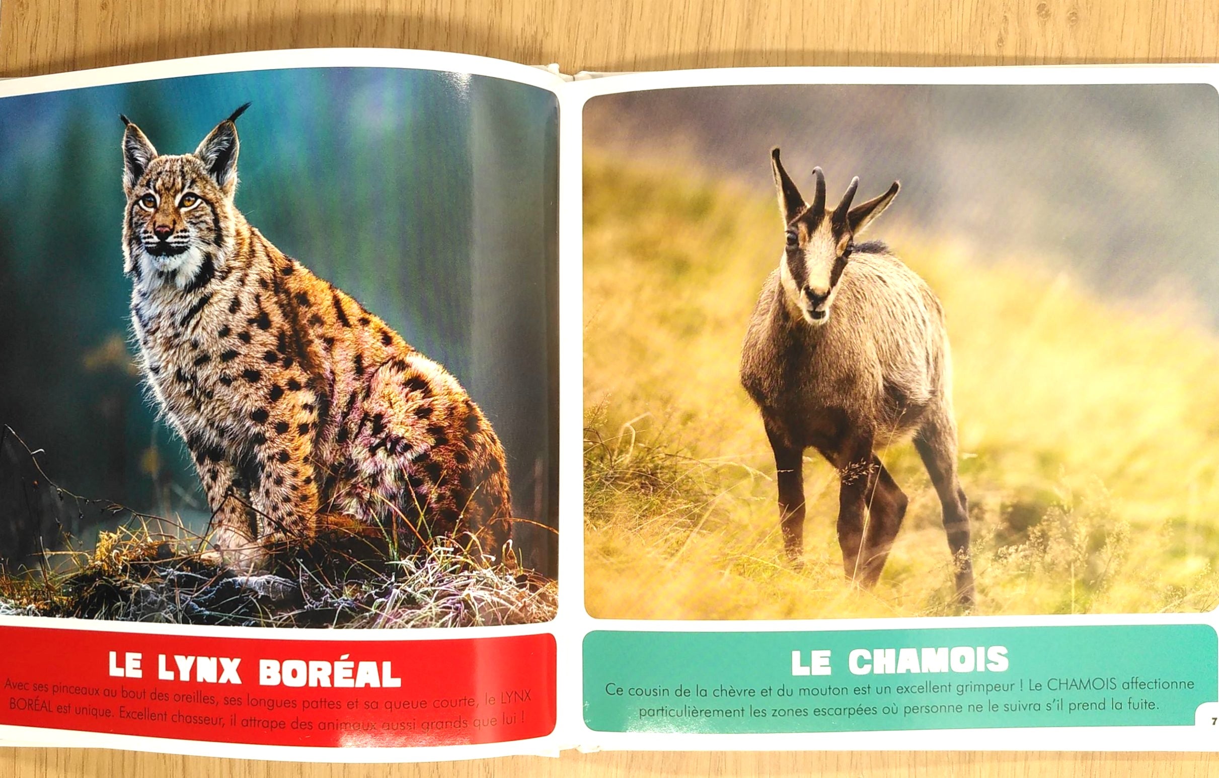 Animaux des montagnes suisses Livres OLF