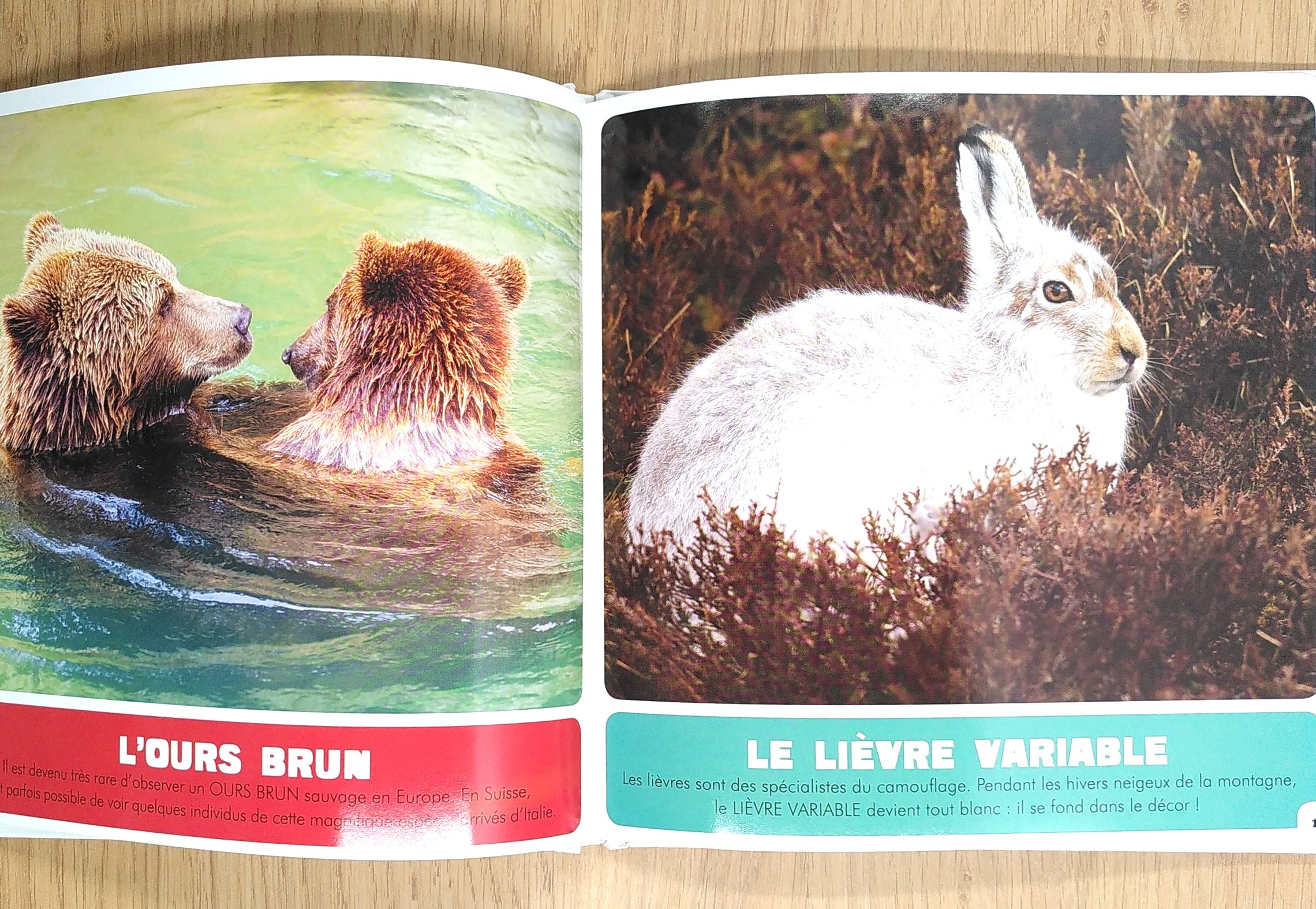Animaux des montagnes suisses Livres OLF