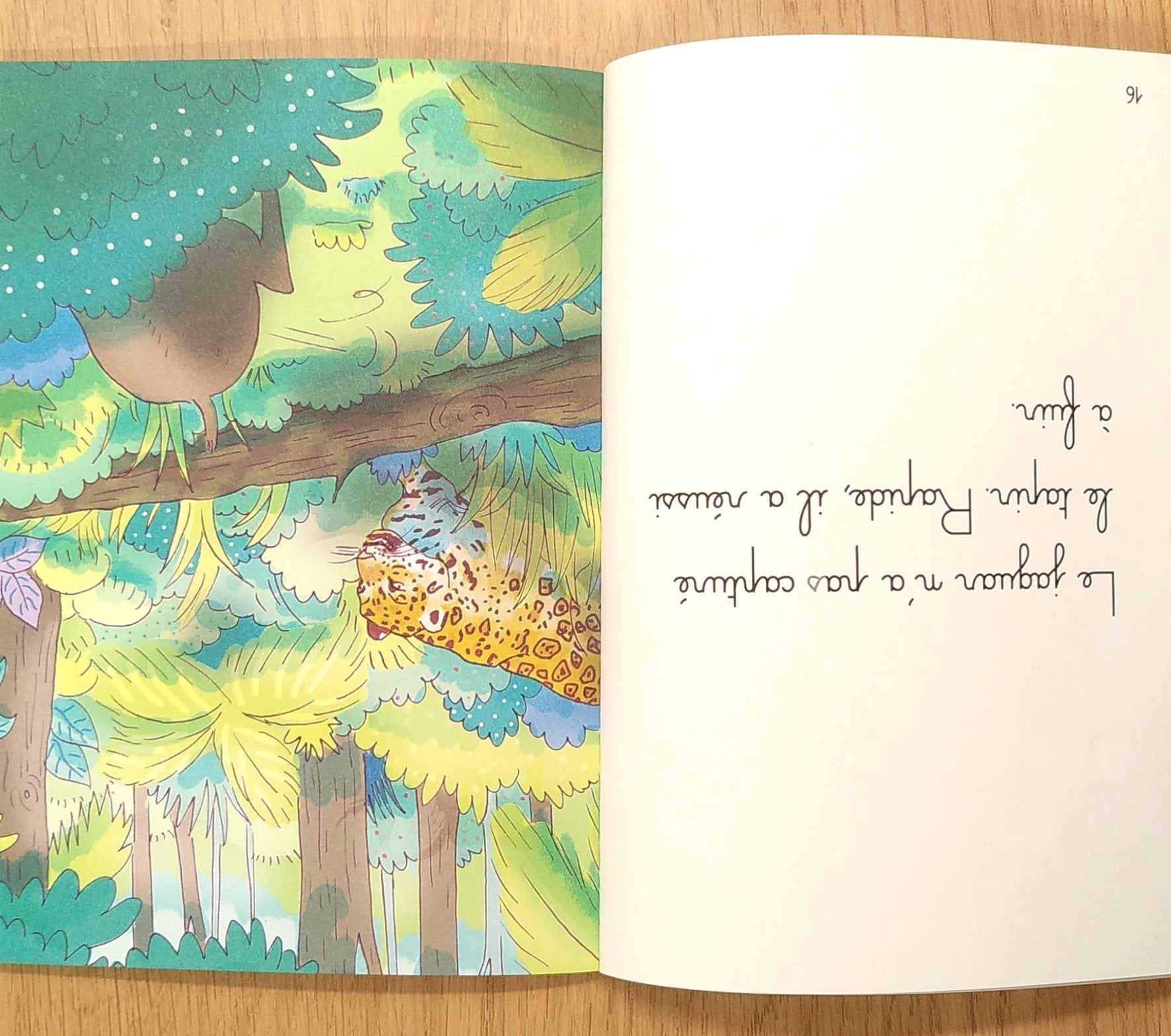 Amazonie et Savane - Je lis avec Montessori - Lettres en lié (cursive) - N1 Montessori & Steiner La family shop