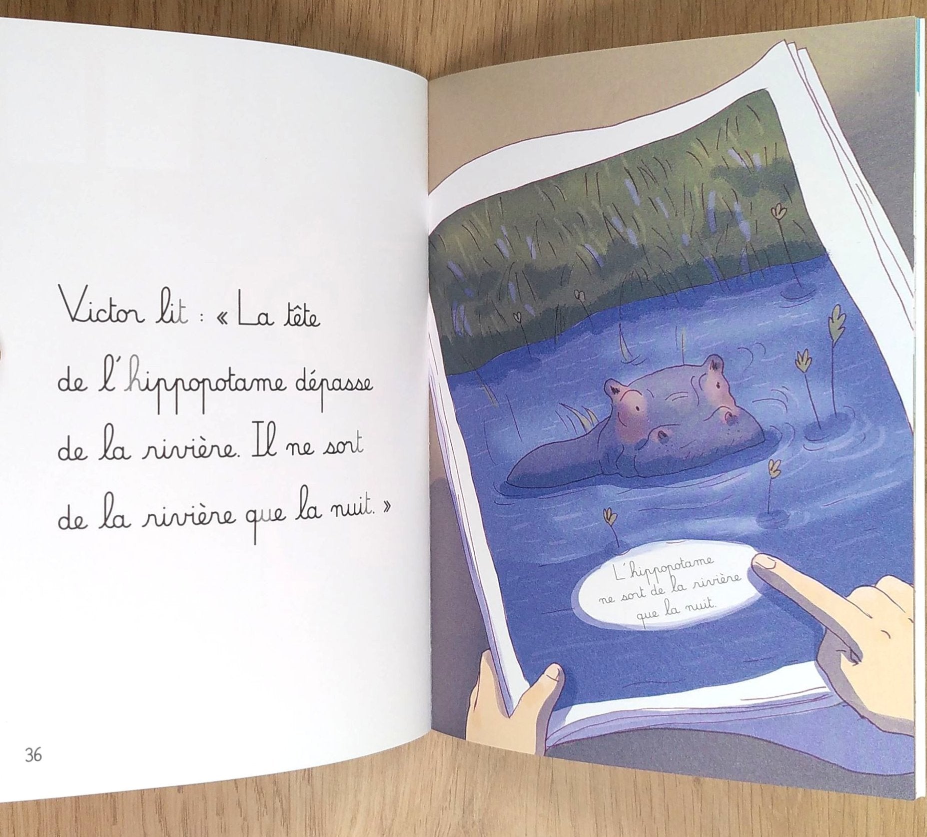 Amazonie et Savane - Je lis avec Montessori - Lettres en lié (cursive) - N1 Montessori & Steiner La family shop