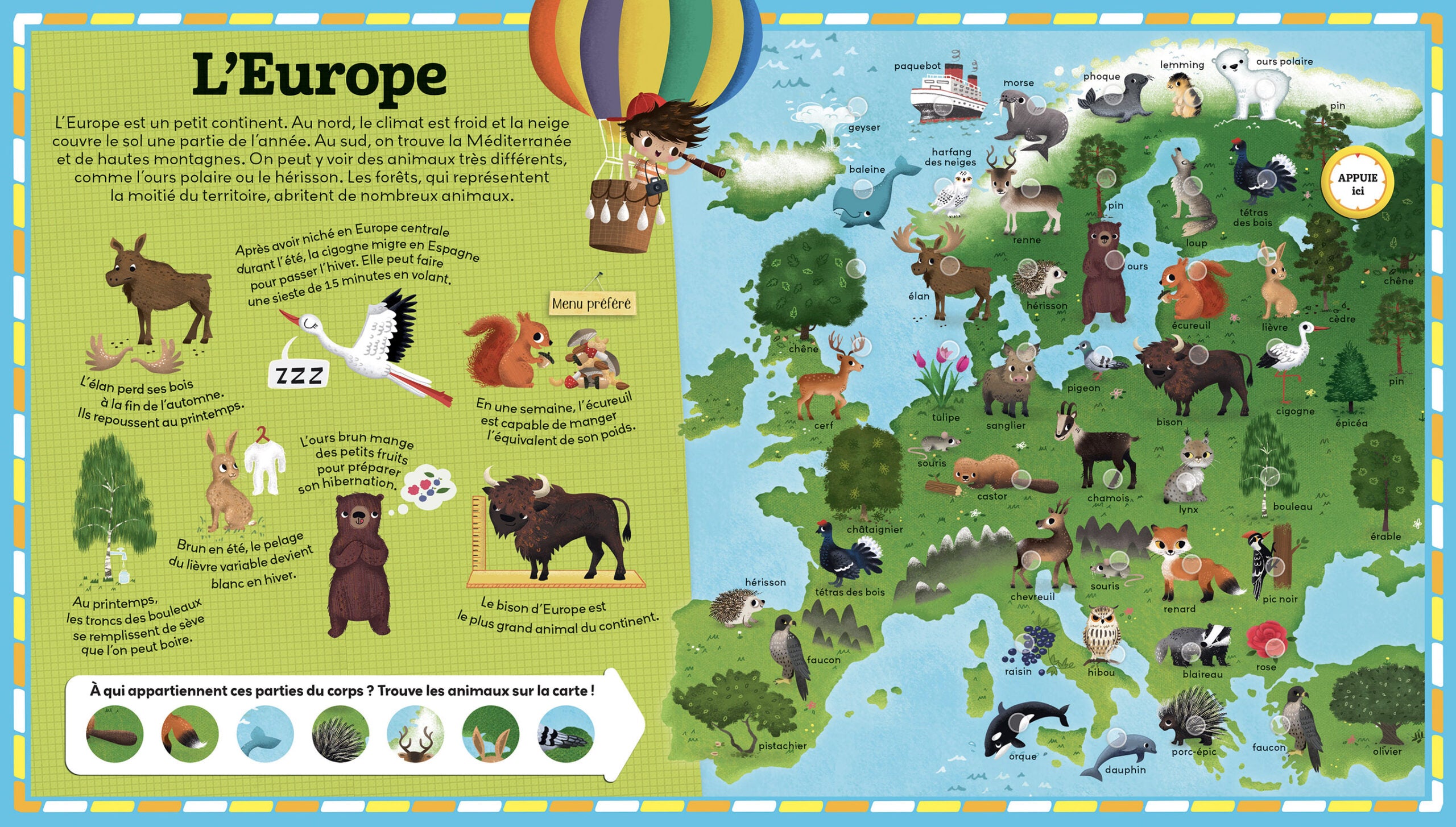 L'Atlas des animaux - Livre sonore - 250 Sons Jeux & loisirs créatifs olf