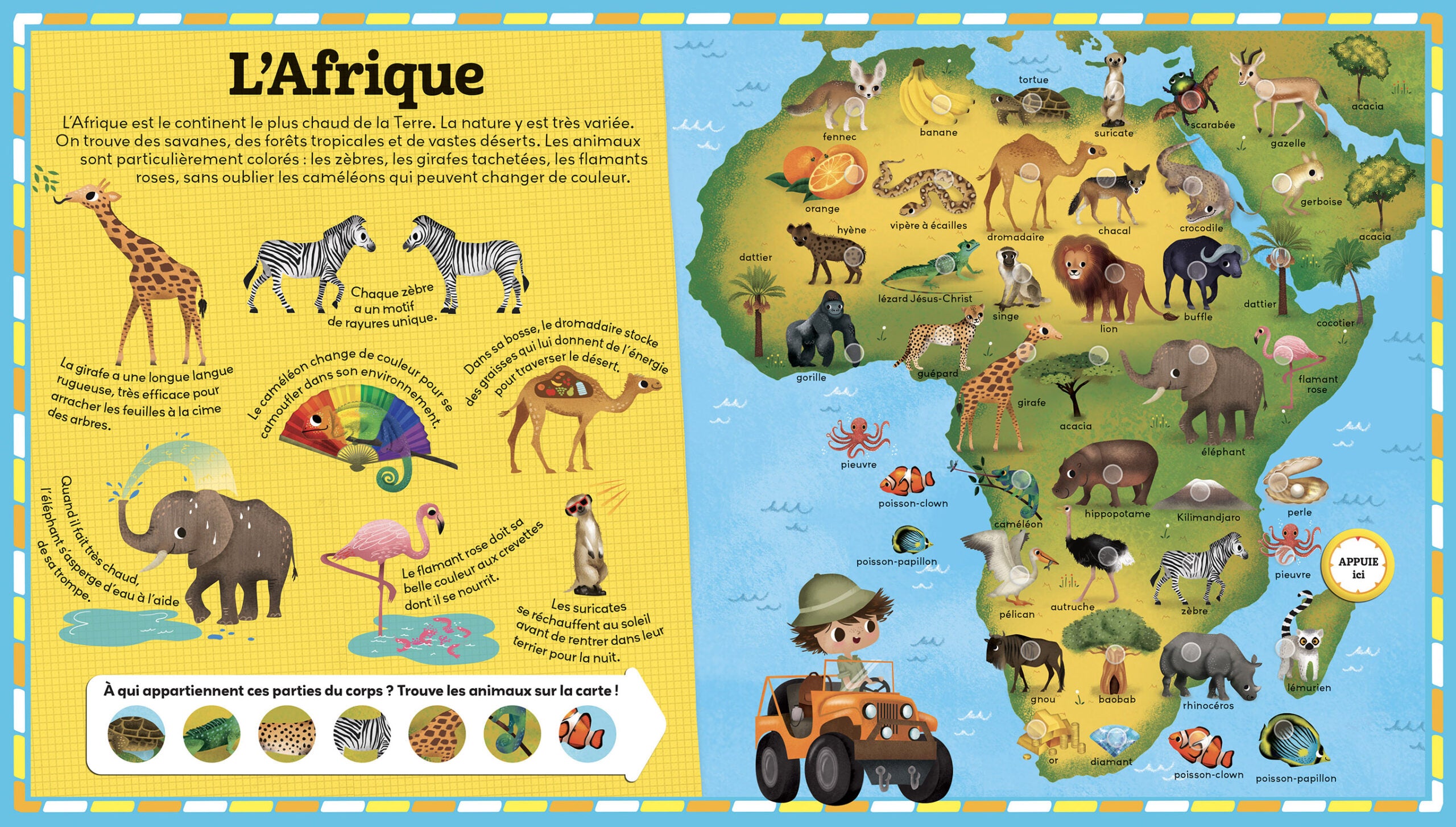 L'Atlas des animaux - Livre sonore - 250 Sons Jeux & loisirs créatifs olf