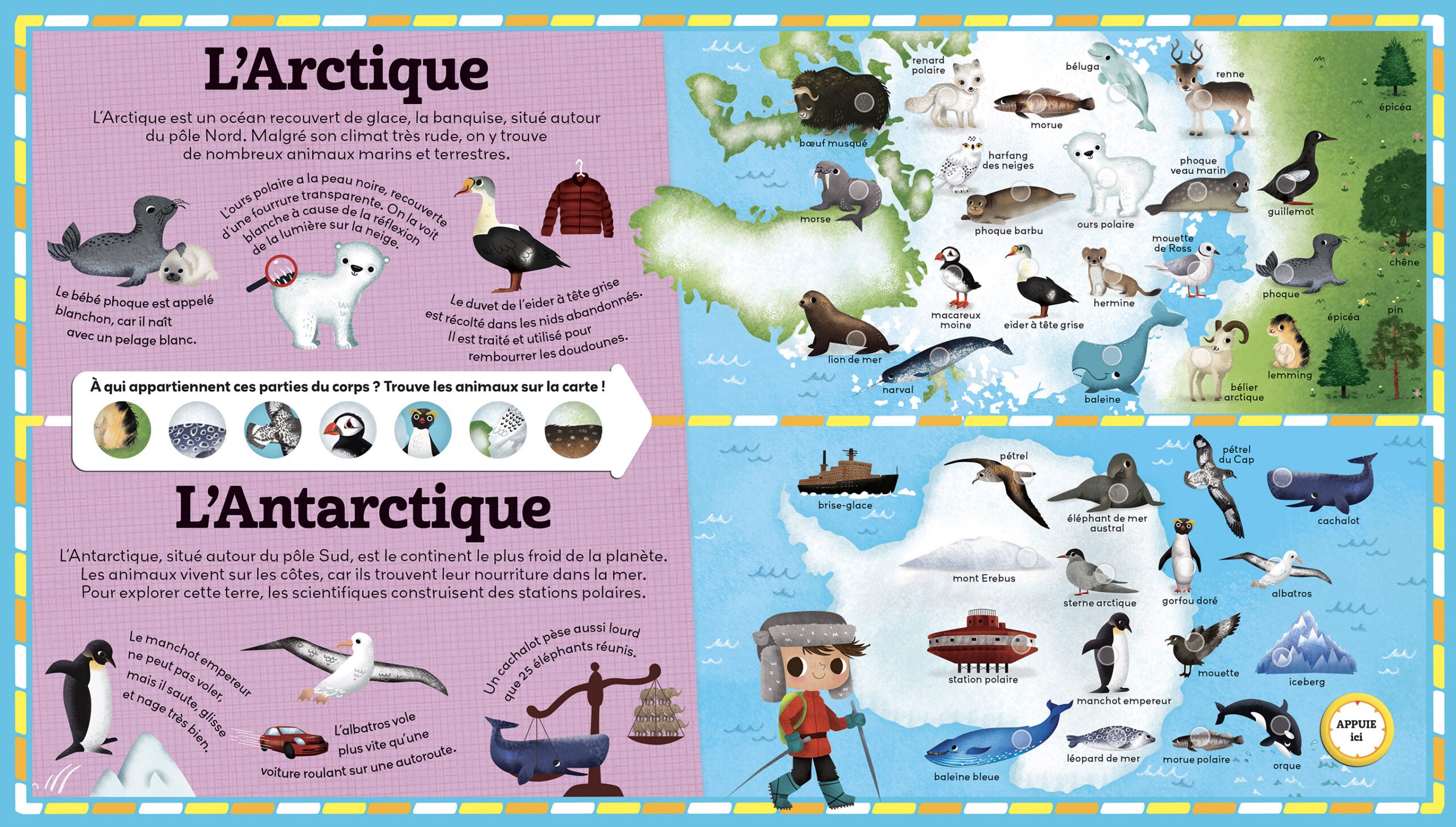 L'Atlas des animaux - Livre sonore - 250 Sons Jeux & loisirs créatifs olf