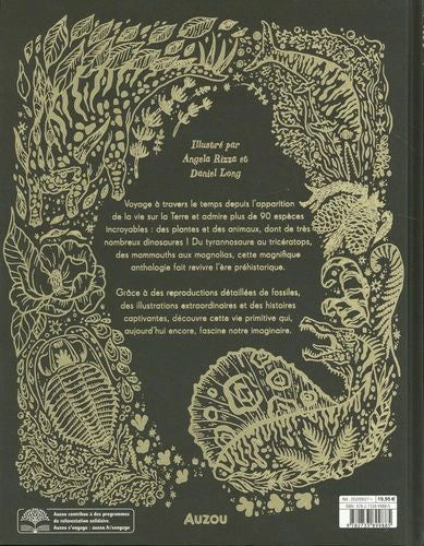 L'anthologie illustrée des dinosaures incroyables et autres vies préhistoriques Livres La family shop