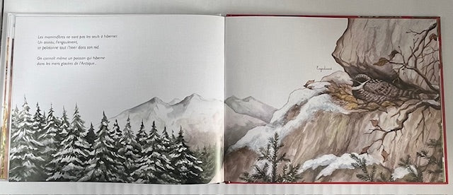 Comme des marmottes / l'hibernation Livres OLF