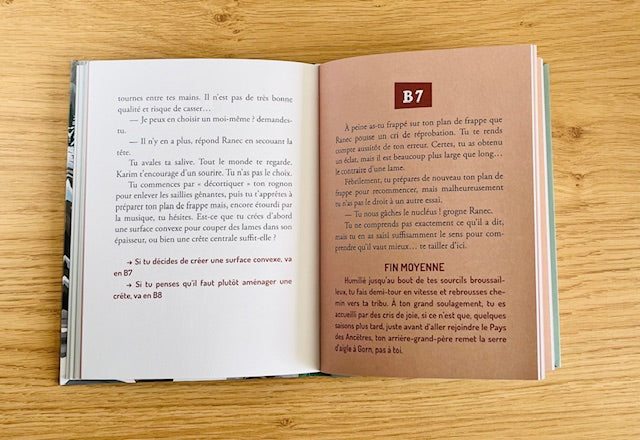 Deviens le héros : le défi du silex Livres La family shop