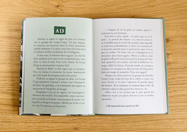 Deviens le héros : le défi du silex Livres La family shop