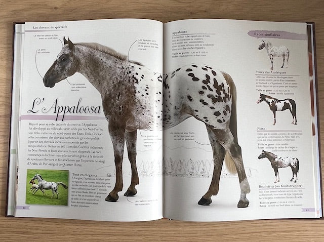 Encyclopédie Passion du Poney et du Cheval - Livre dès 9 ans Livres OLF