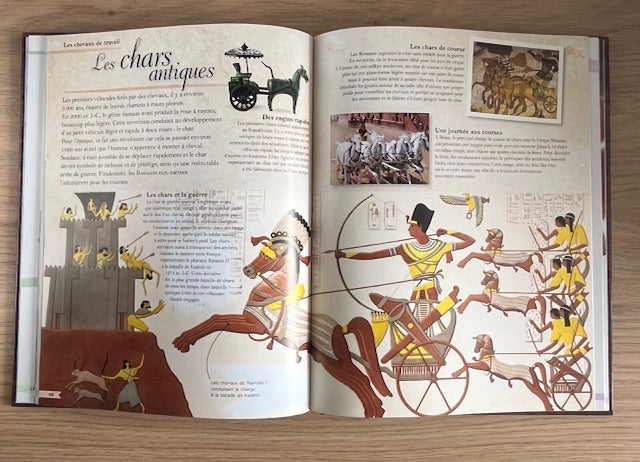 Encyclopédie Passion du Poney et du Cheval - Livre dès 9 ans Livres OLF