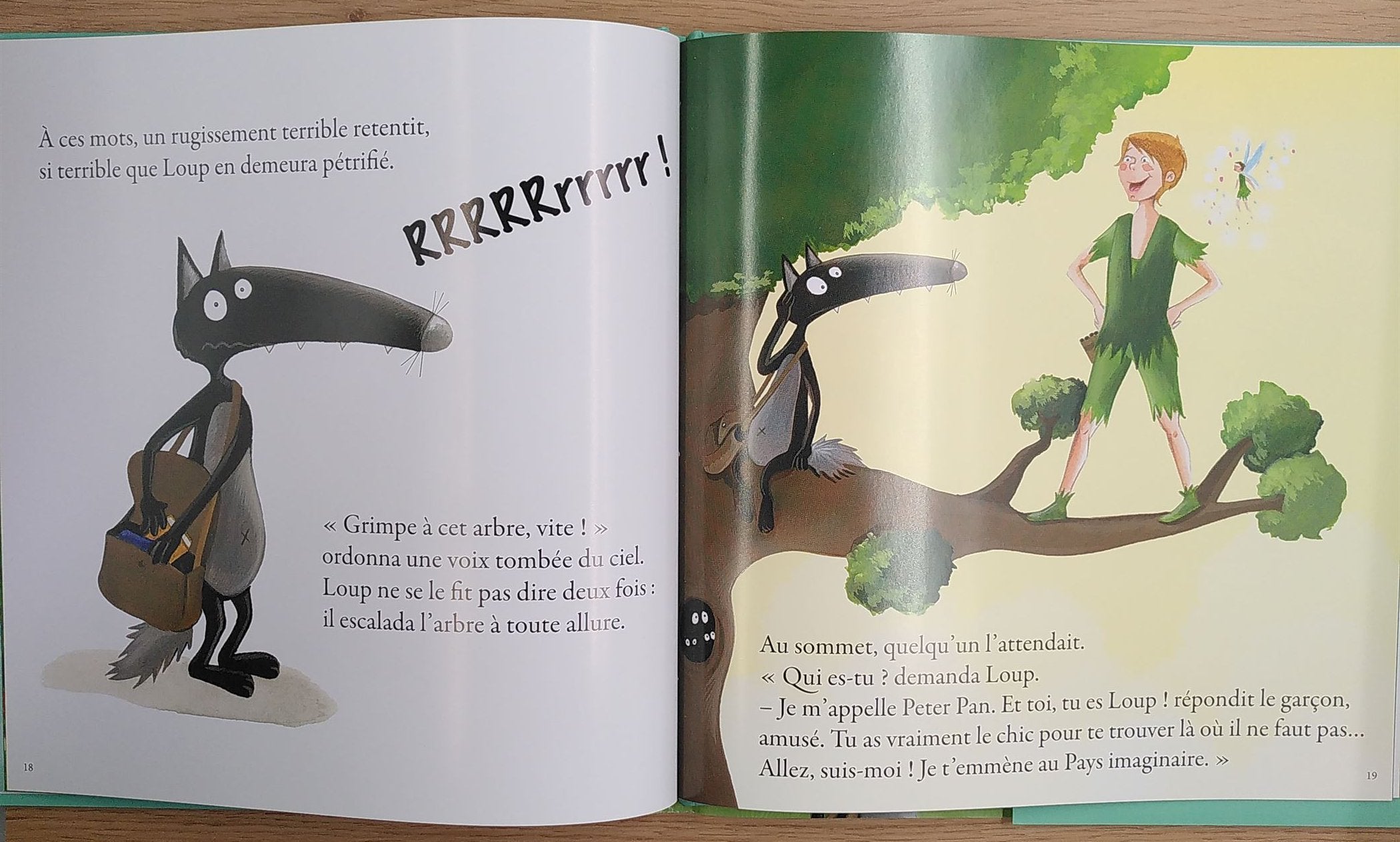 LE LOUP QUI N'AIMAIT PAS LIRE Livres OLF