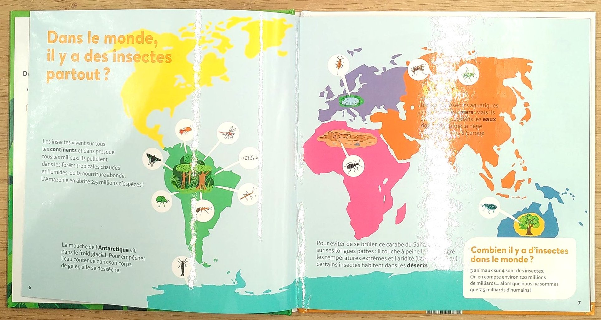 Les Insectes - Dès 7 ans Livres La family shop