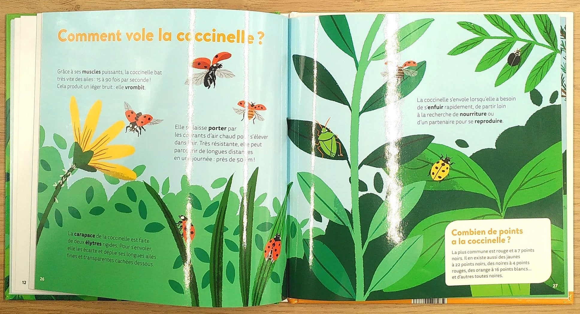 Les Insectes - Dès 7 ans Livres La family shop