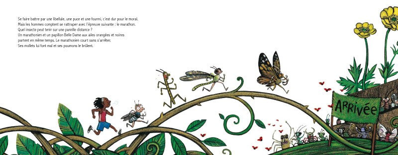 Les jeux olympiques des insectes Livres OLF