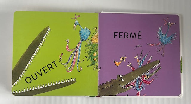 Les contraires - Roald Dahl - De 1 à 3 ans Livres OLF
