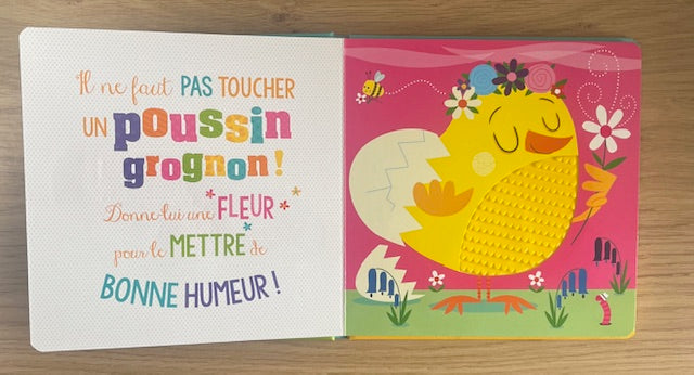 Il ne faut pas toucher un lapin grognon Livres OLF